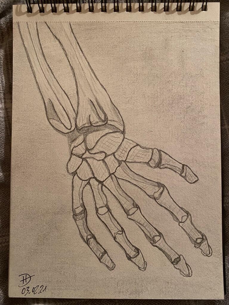 ArtStation - Skeleton hand