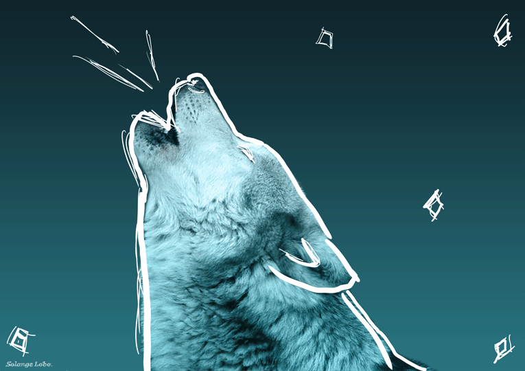 howling wolf animation