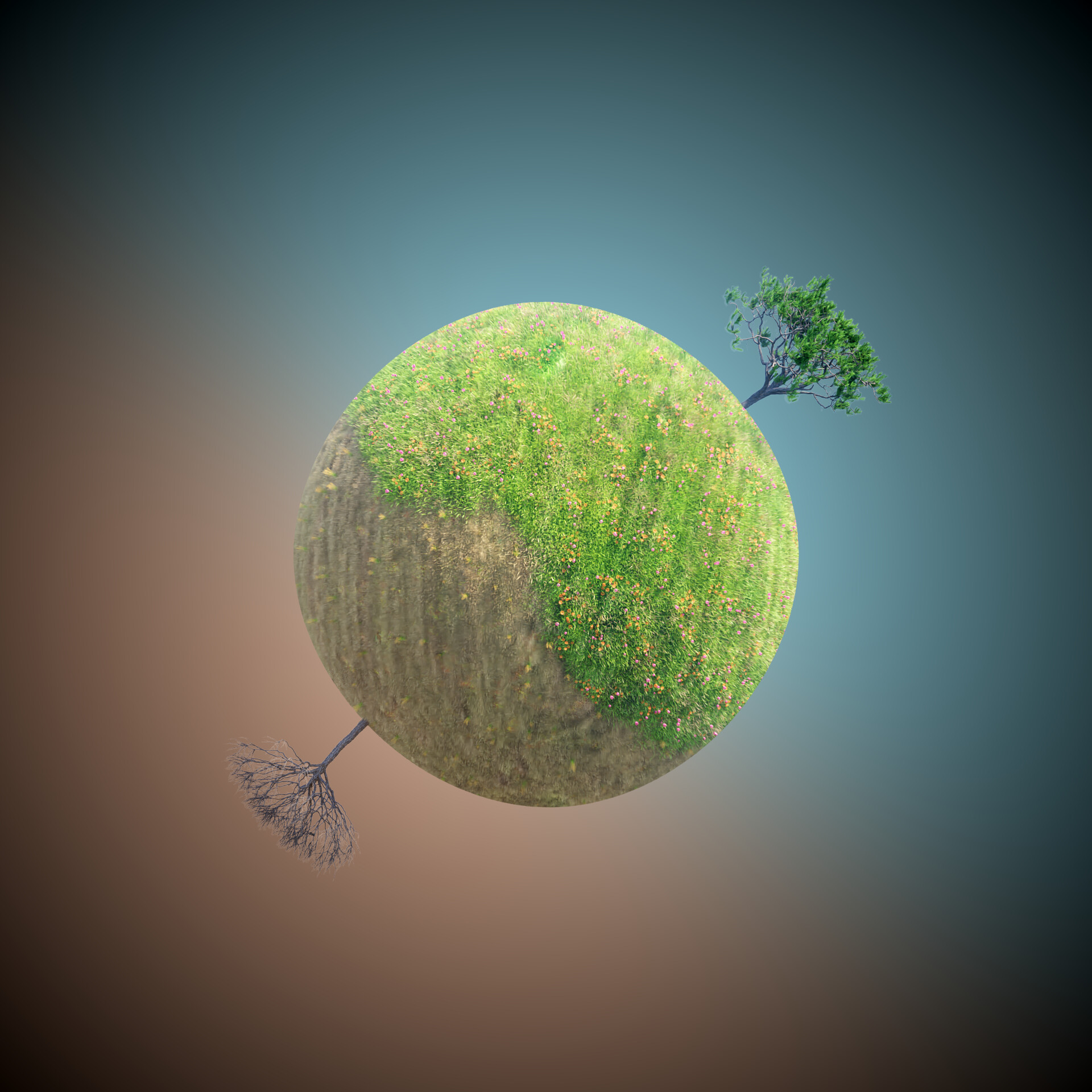 ArtStation - Double Sided Planet