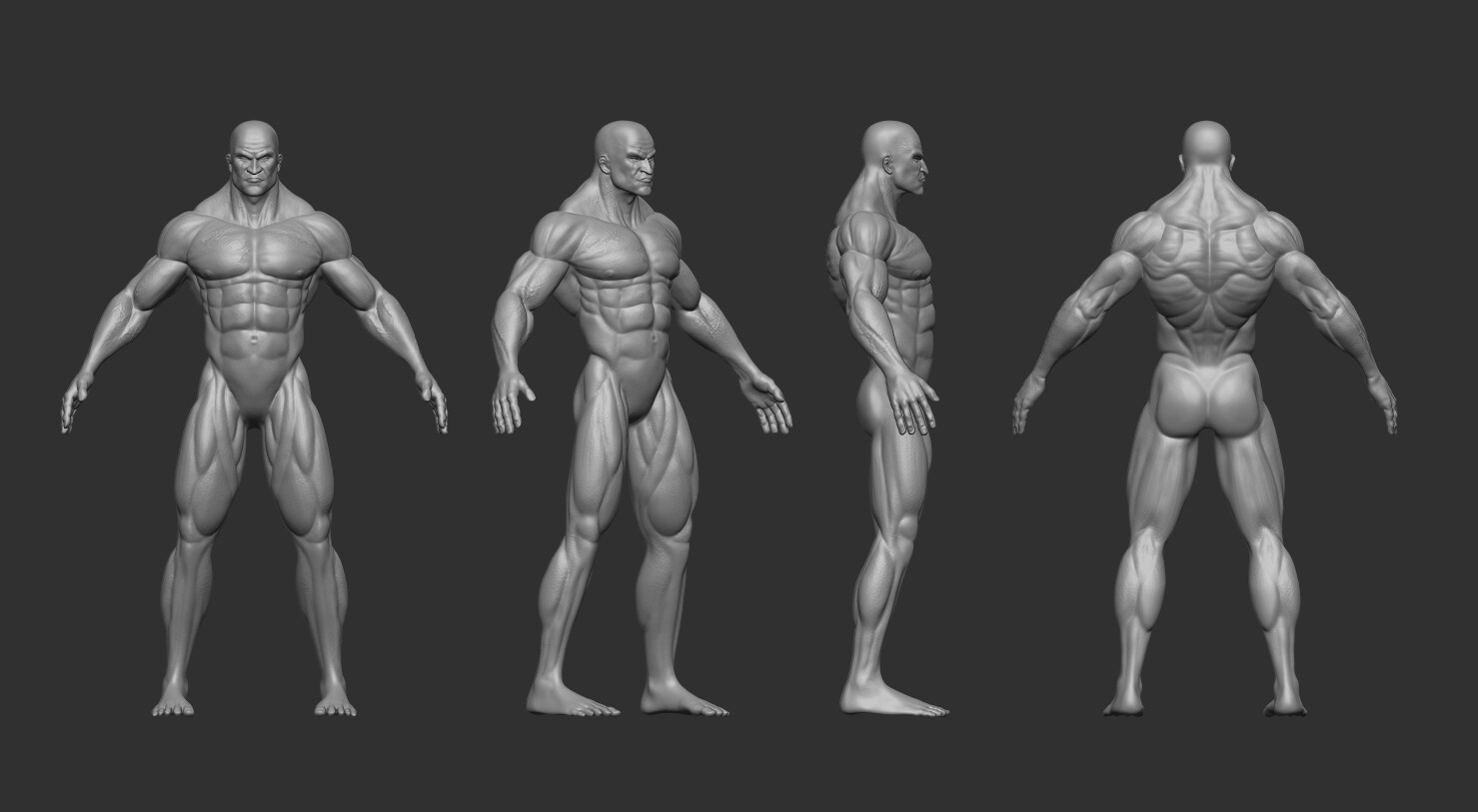 ArtStation Anatomy Model 3d Human male