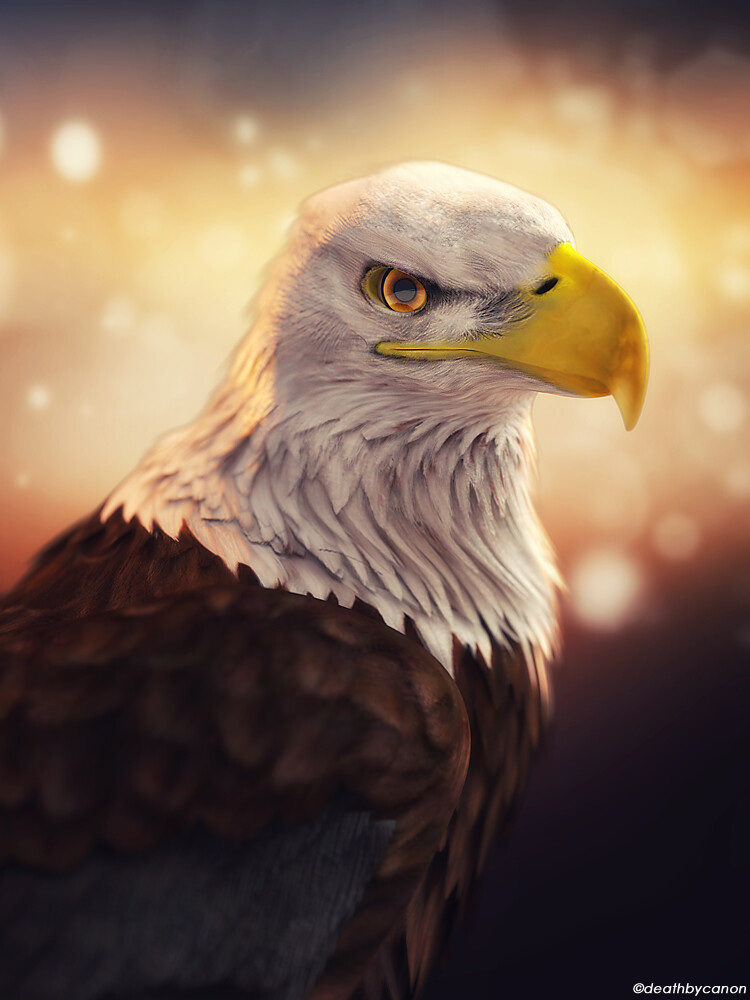 Eagle Wallpaper HD 3D APK 6.0 - Download APK latest version