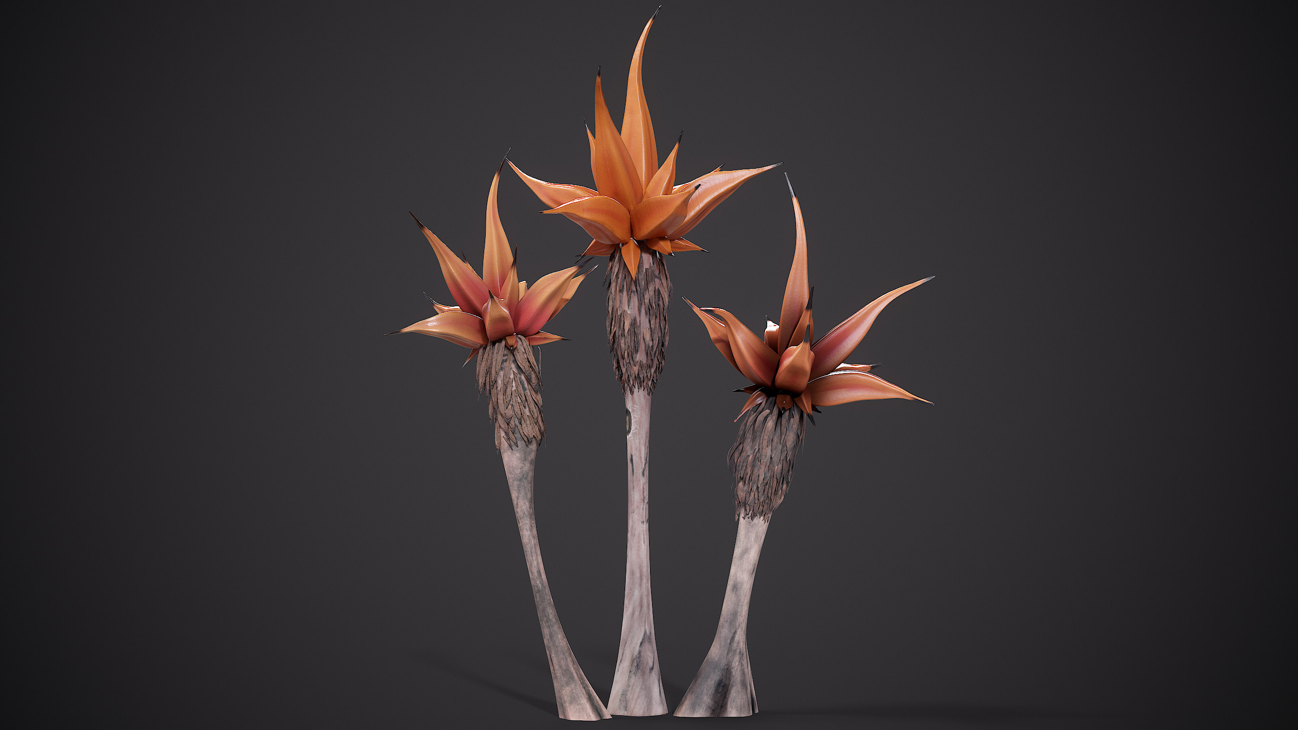 Gliese 667cc Landscape