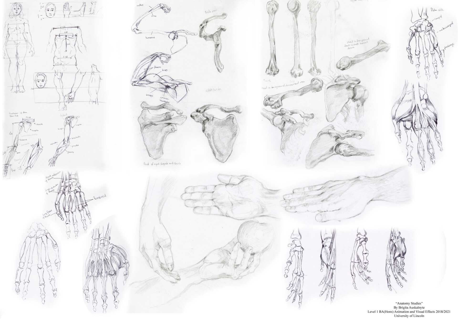 ArtStation Life Drawing And Studies Level 01 2018 2019 artstation-life-drawing-and-studies-level-01-2018-2019