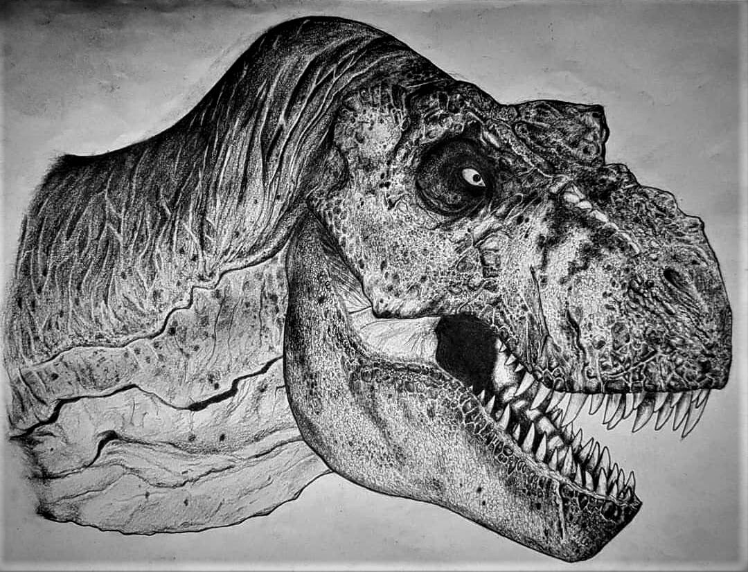 Bull t rex drawing clearance