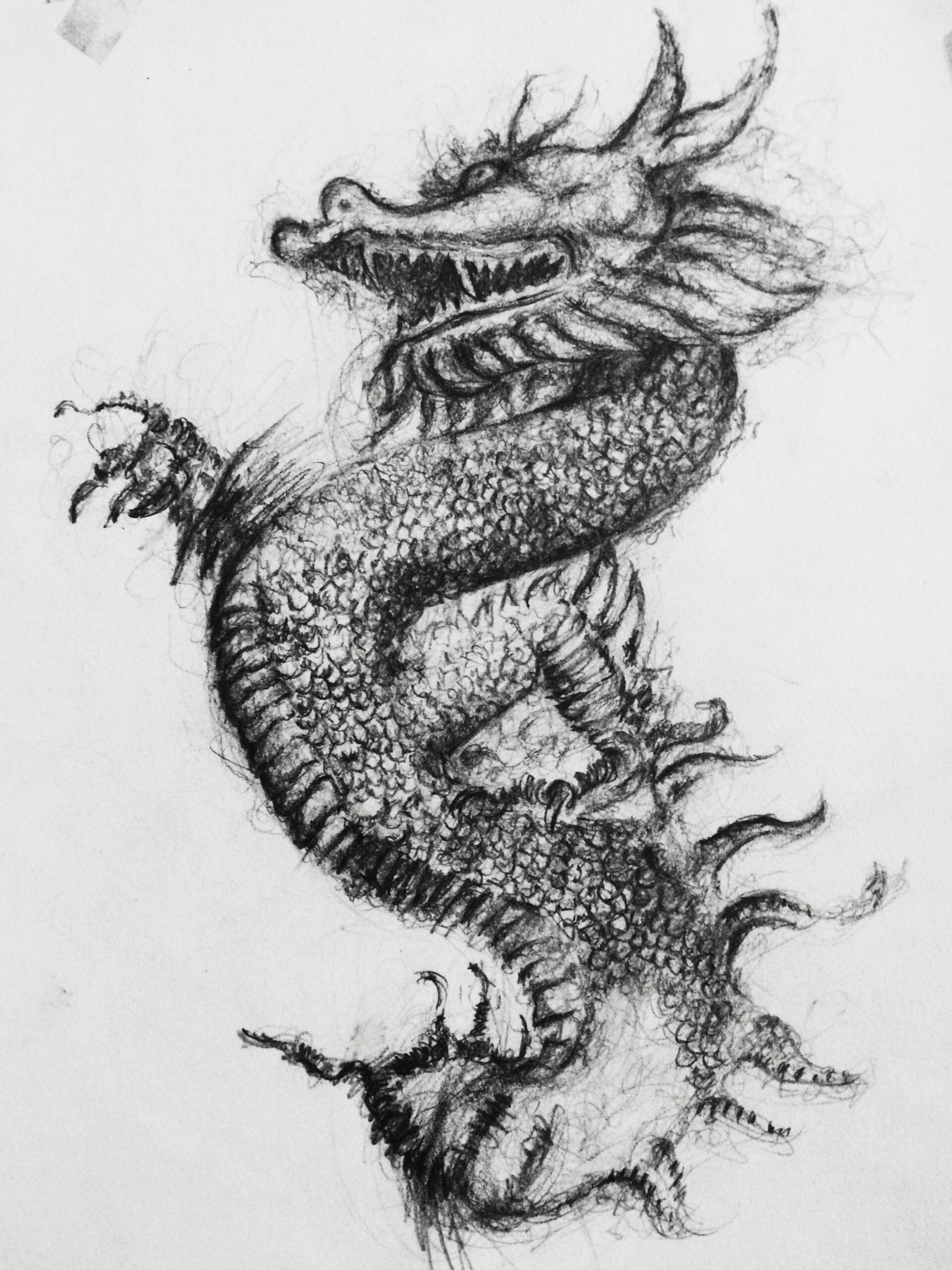 ArtStation - Dragon sketch