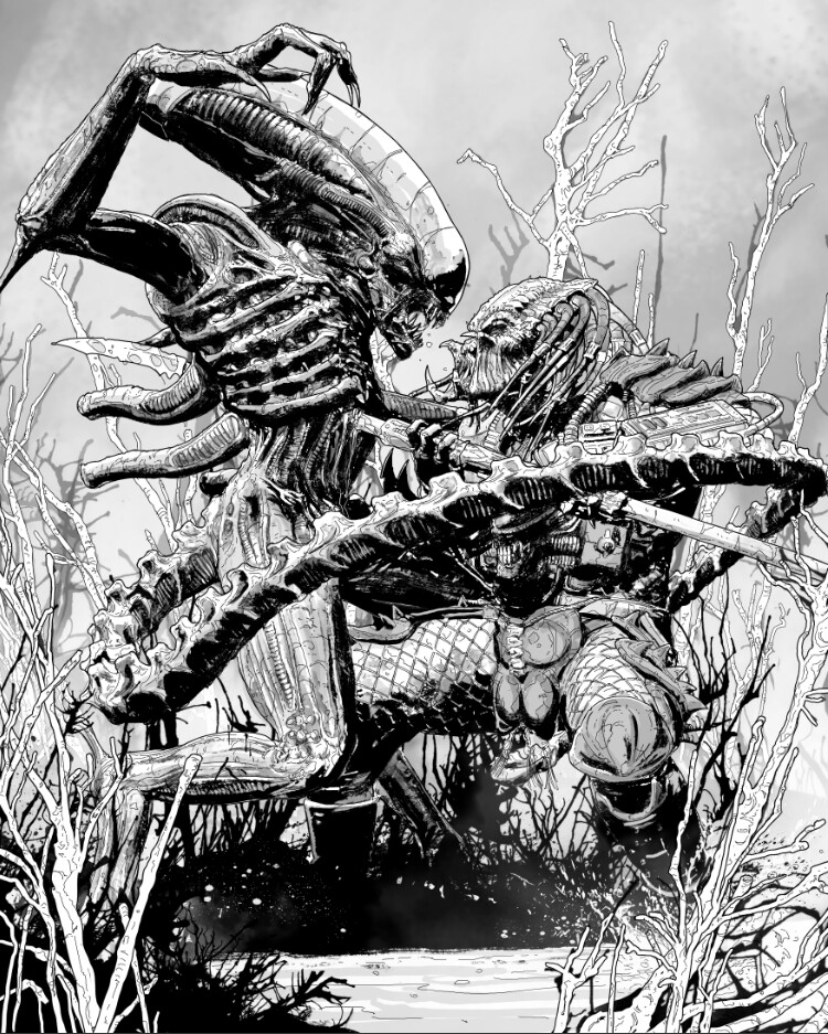 Predator vs Alien by Xagamus on DeviantArt