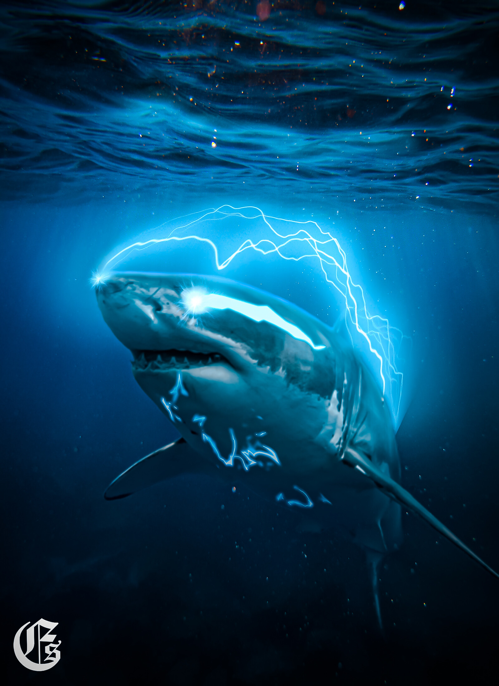 Top 54+ imagen sharks lightning