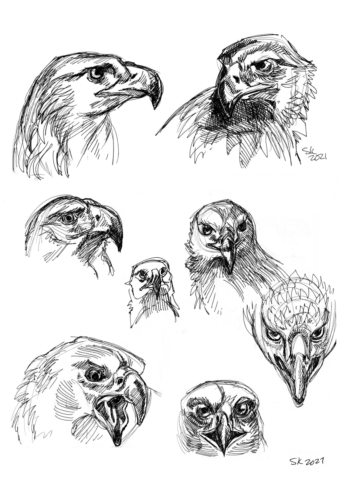 Eagle Studies