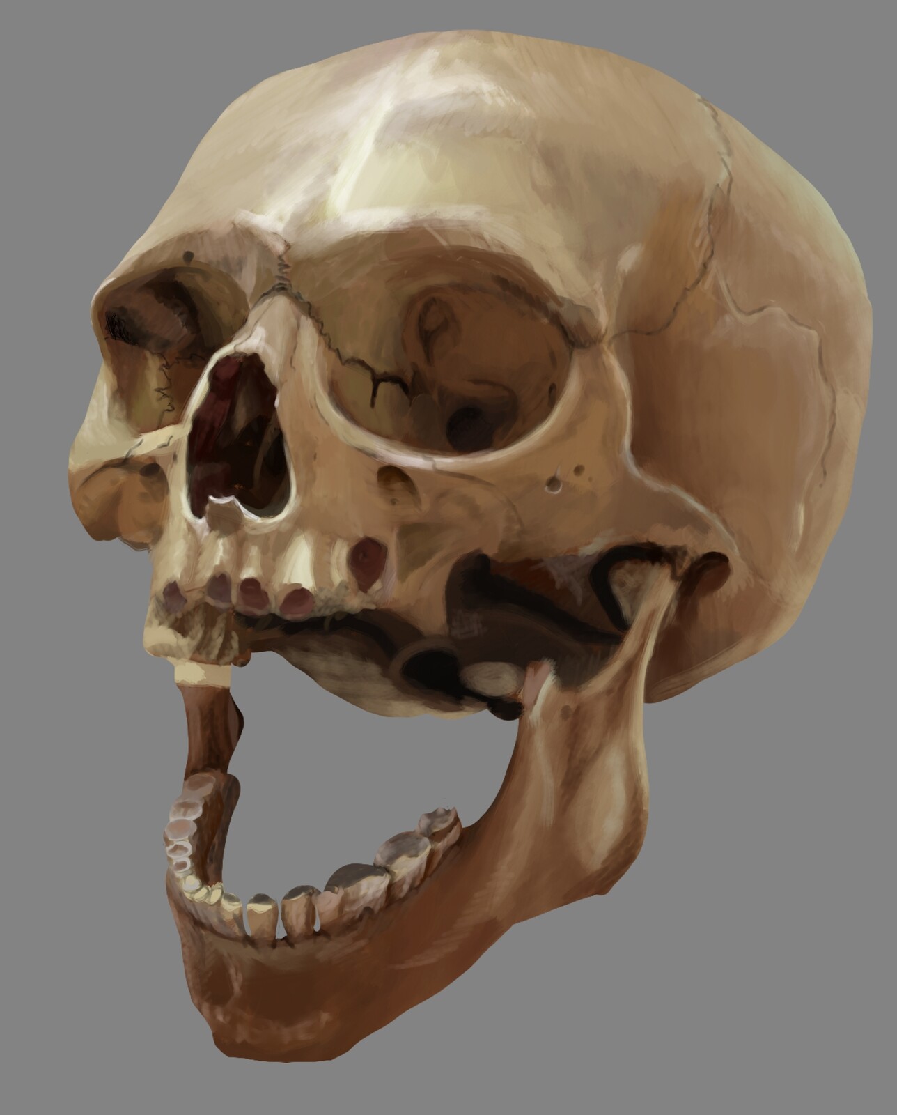 Skull Paint Test