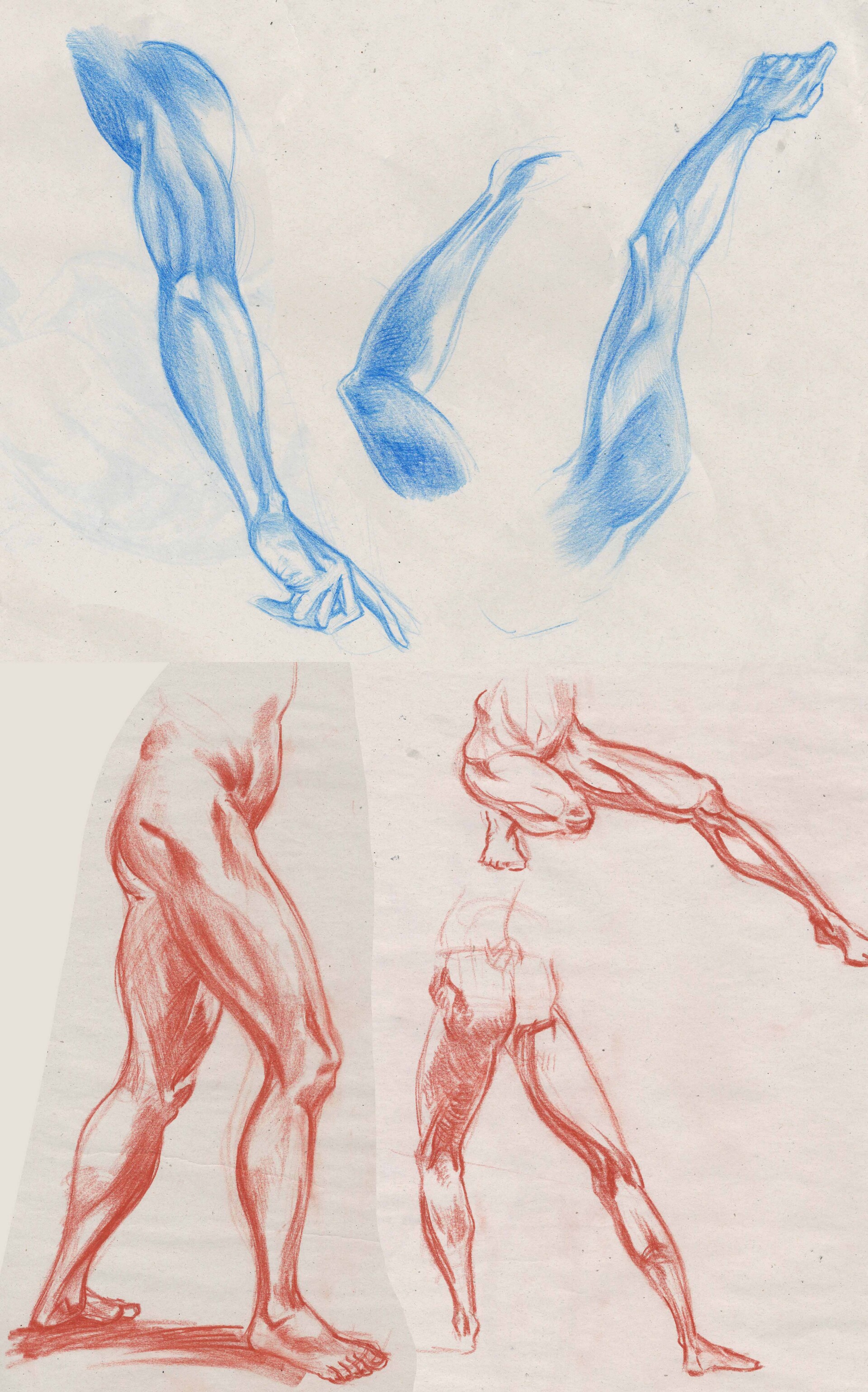 Bryan Lim, Vhlora - Traditional Figure Drawing & Studies