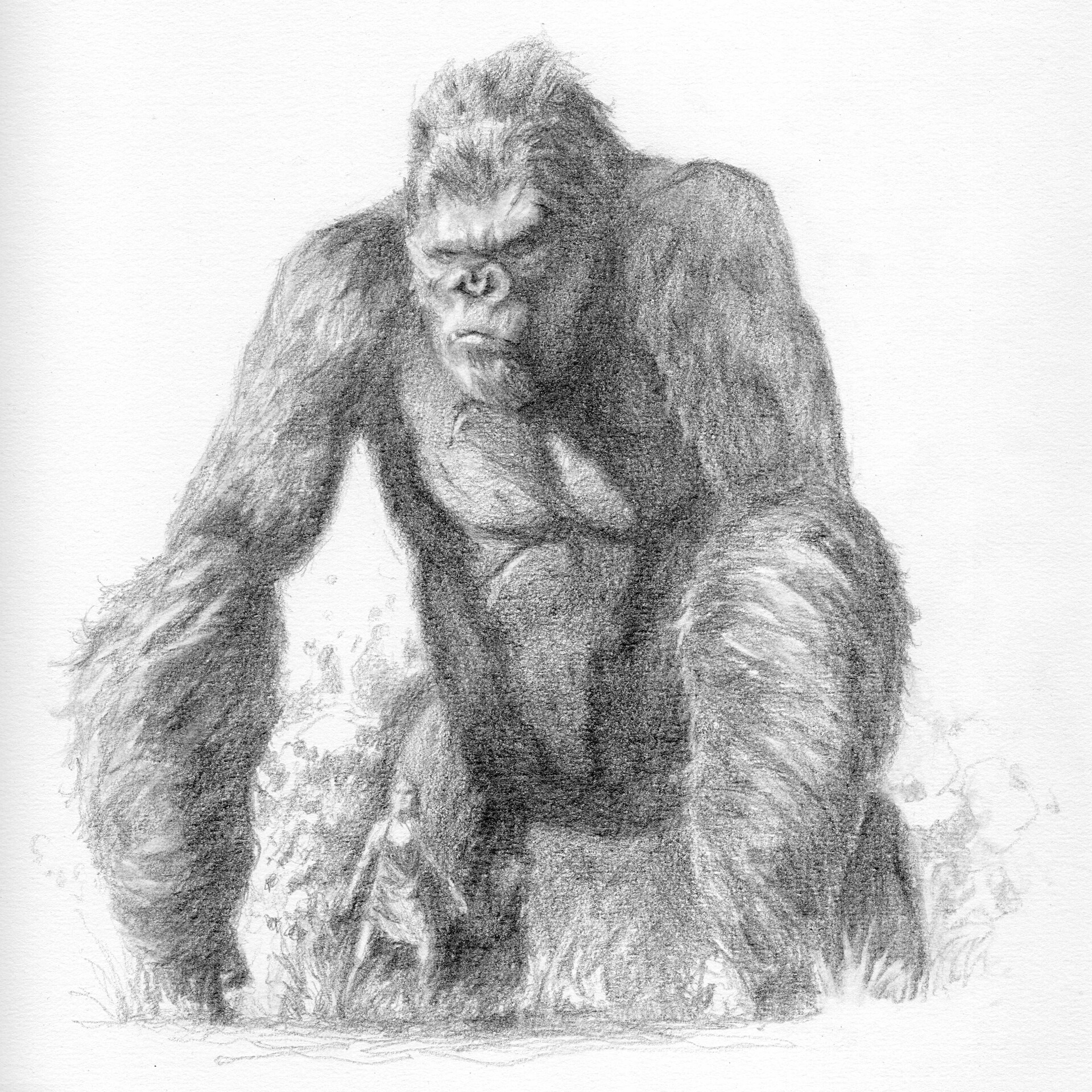 King Kong 2017 (sketch) by WoodZilla200 on DeviantArt