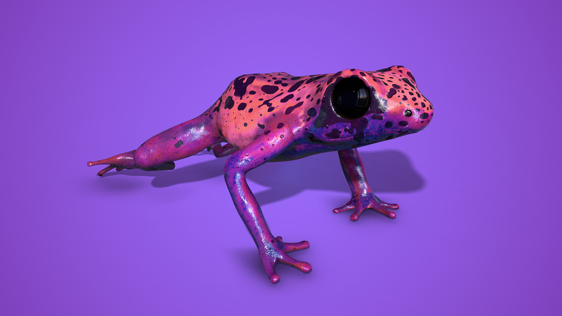 Purple Poison Dart Frog