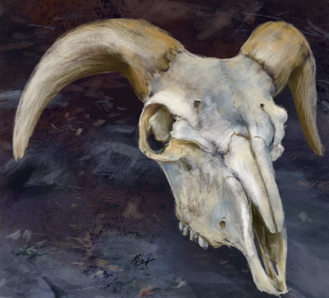 ArtStation Animal Skull