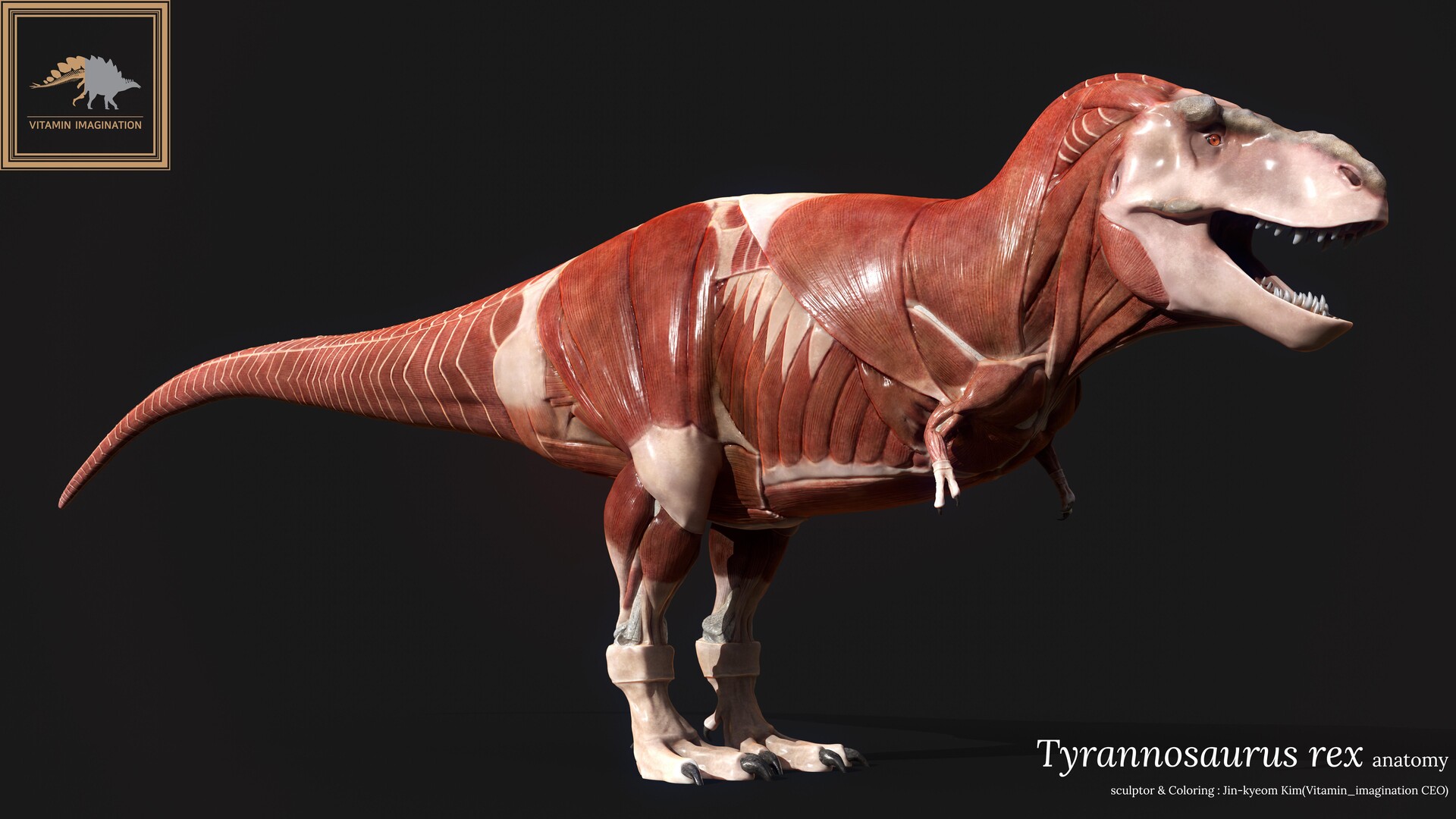 t rex anatomy