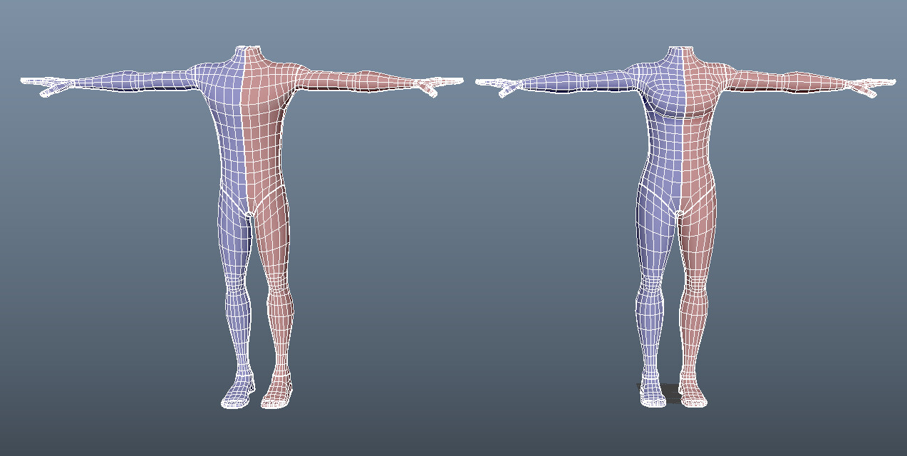 We have a simple male and female basemesh with mirrored UVs