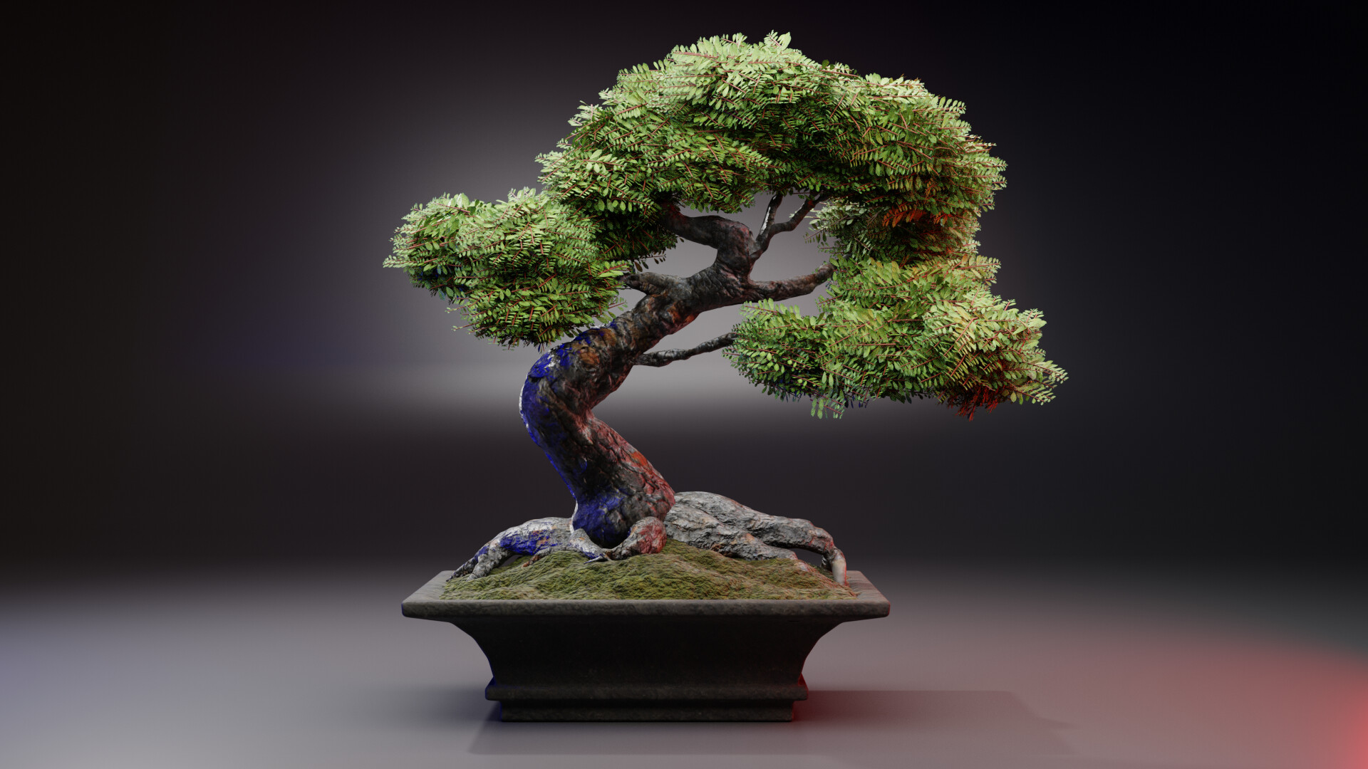 ArtStation - Bonsai tree
