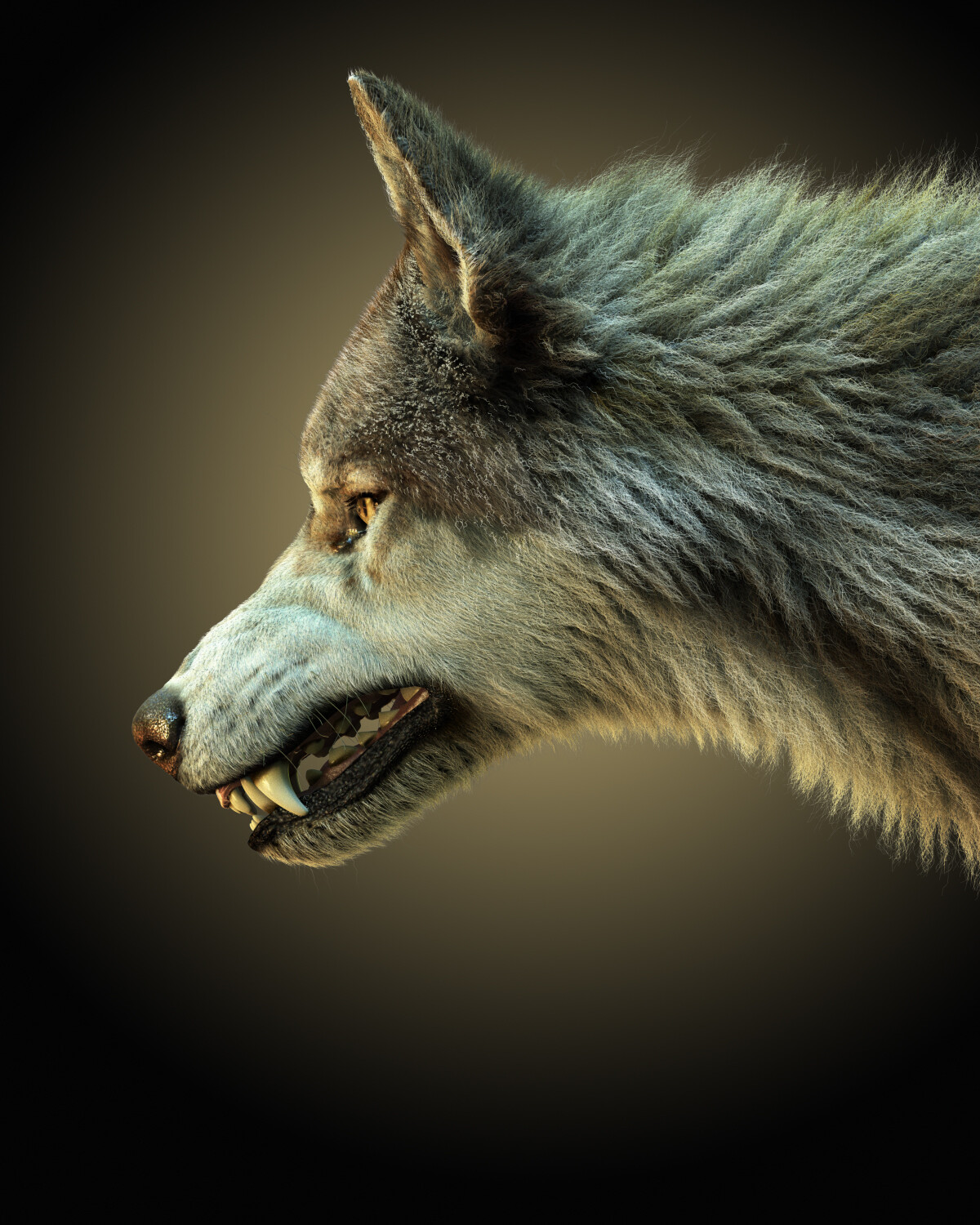 Wolf 