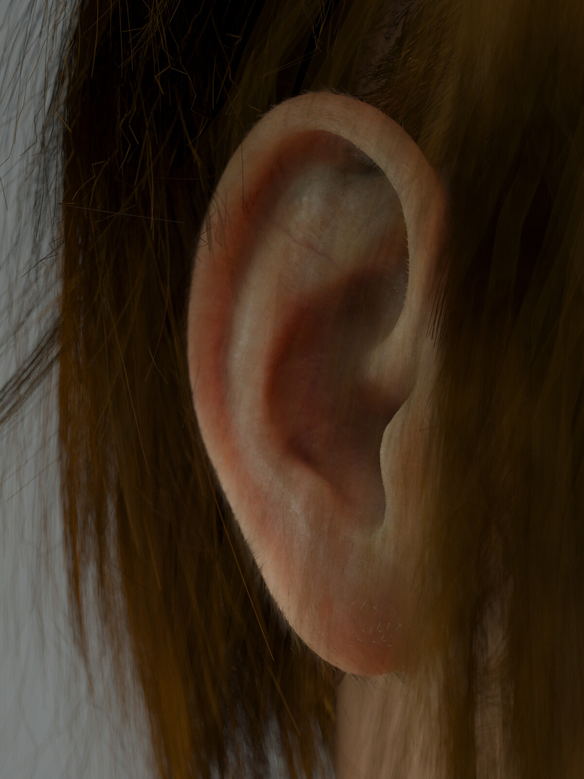 Ear detail
