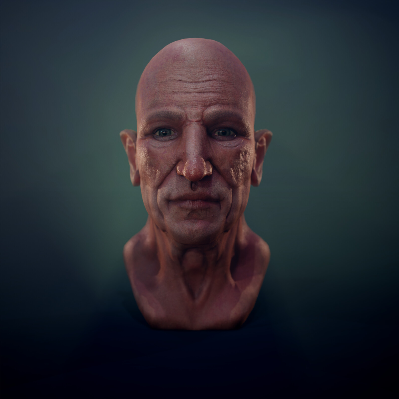 Anatomy of Ageing Head Sculpt Study 