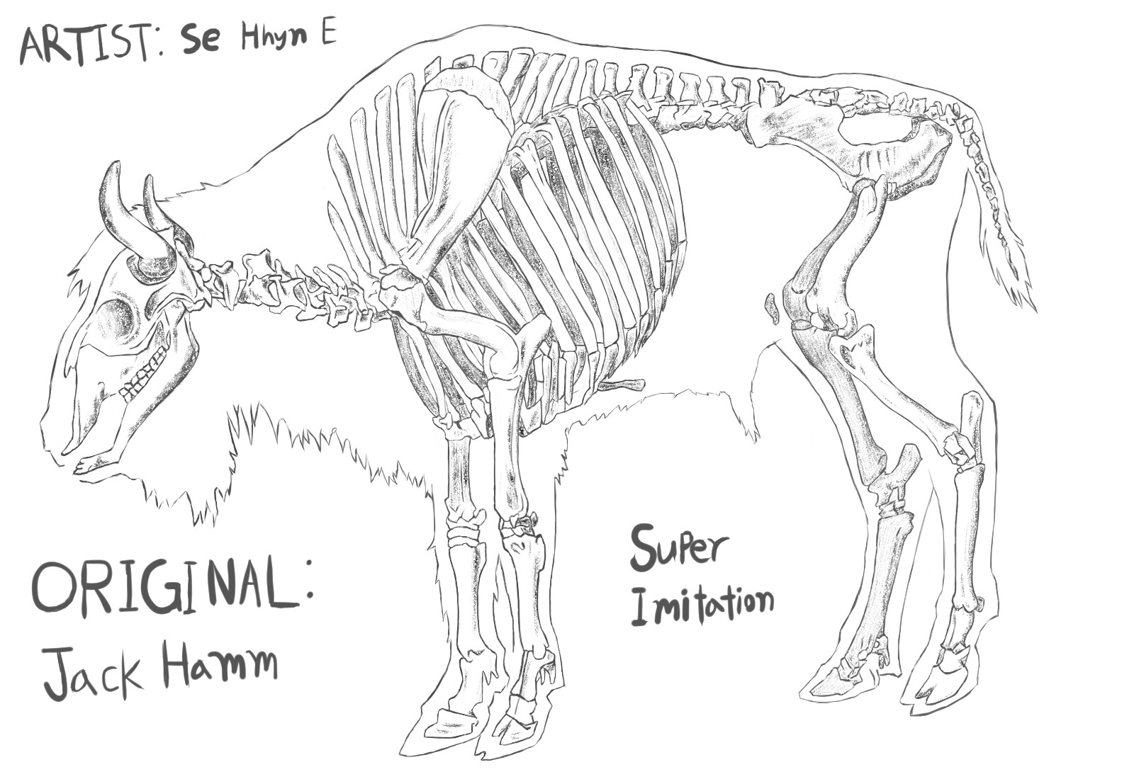 ArtStation - ANIMAL. bison structure. (super imitation)