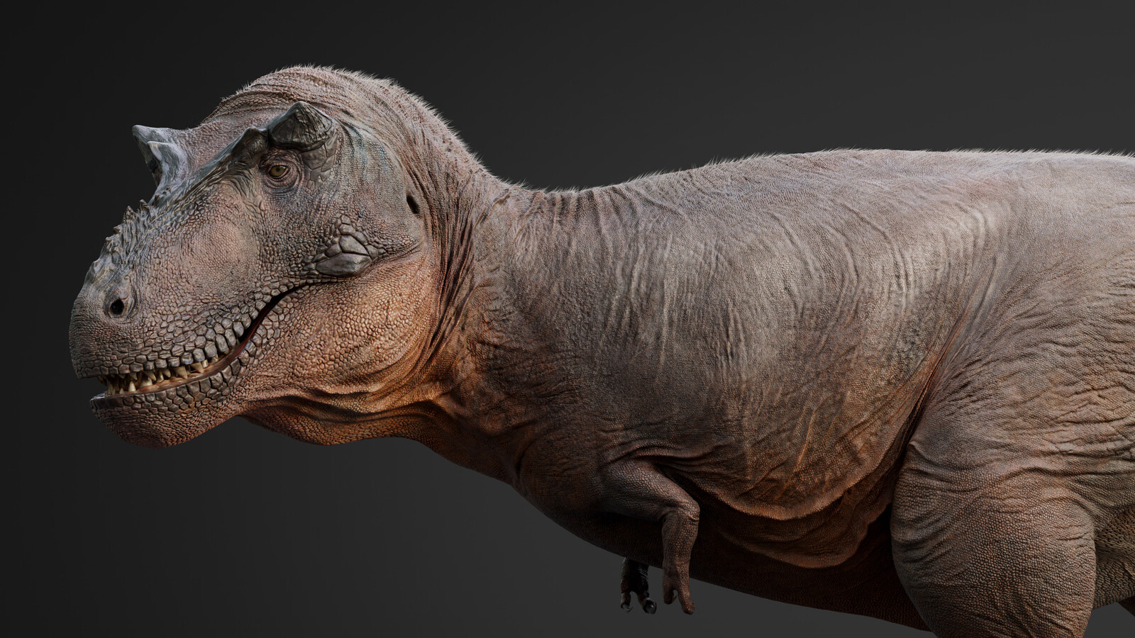 t rex rex