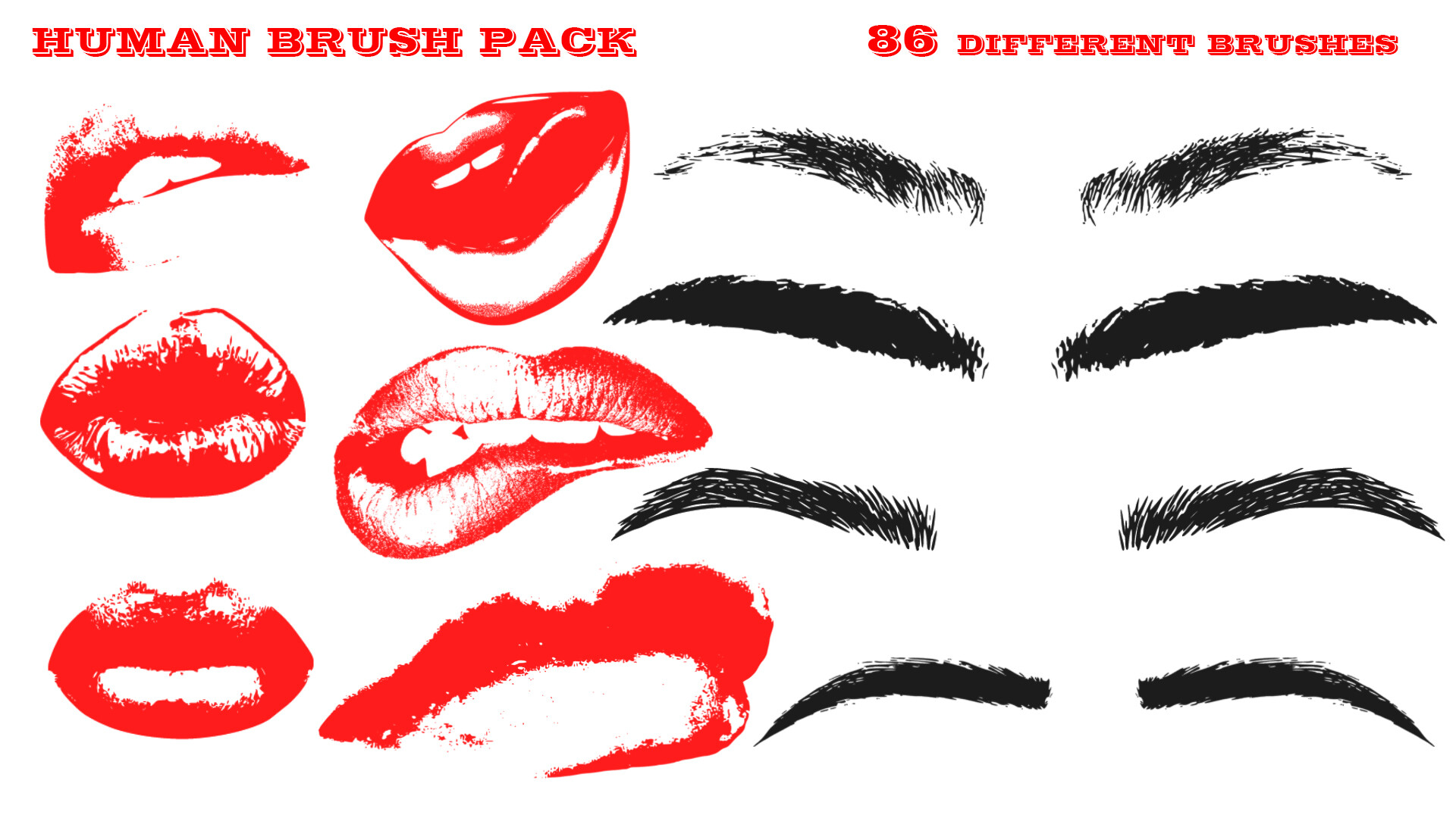 Rokviz Studio Human Brushes