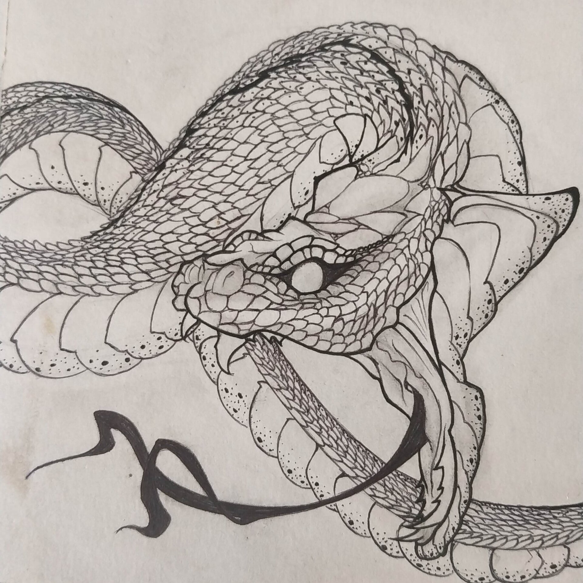 Tattoo uploaded by Dylan C • Montreal snake sketch style tattoo • Tattoodo