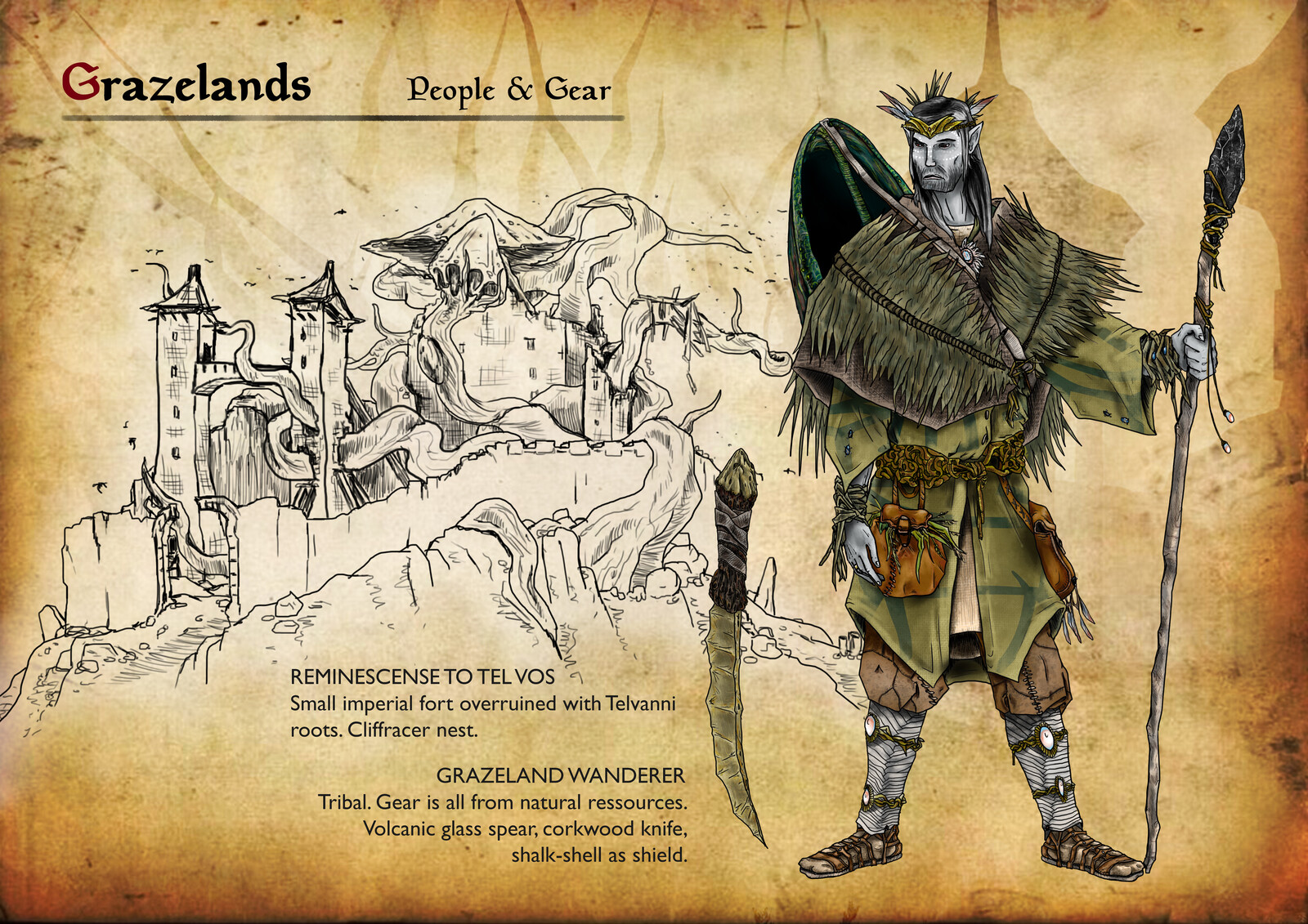 Skywind Application  - Ashlander Attire