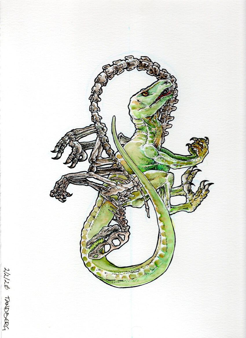 30 Velociraptor Tattoo Illustrations RoyaltyFree Vector Graphics  Clip  Art  iStock