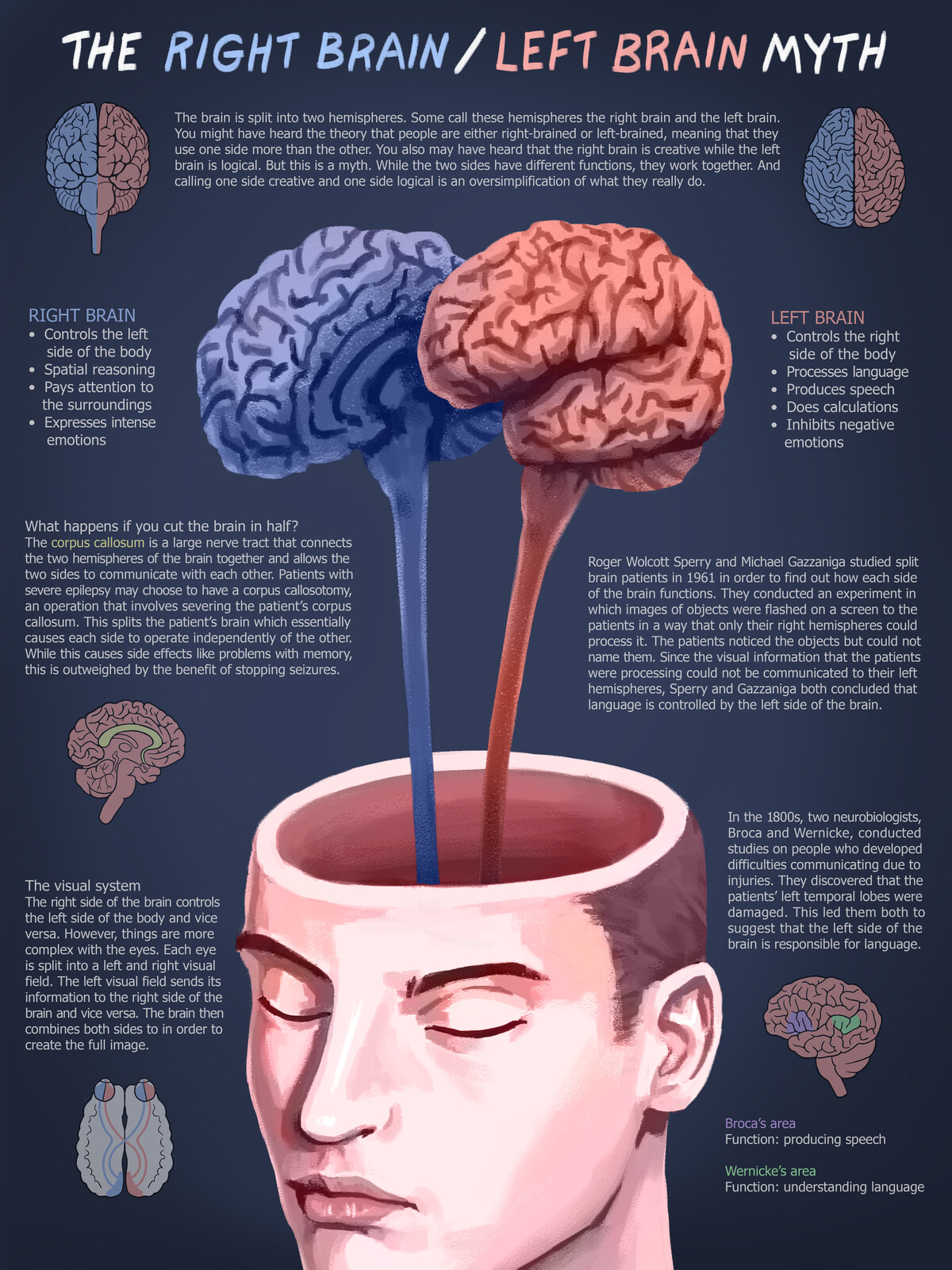 Right brained left brained