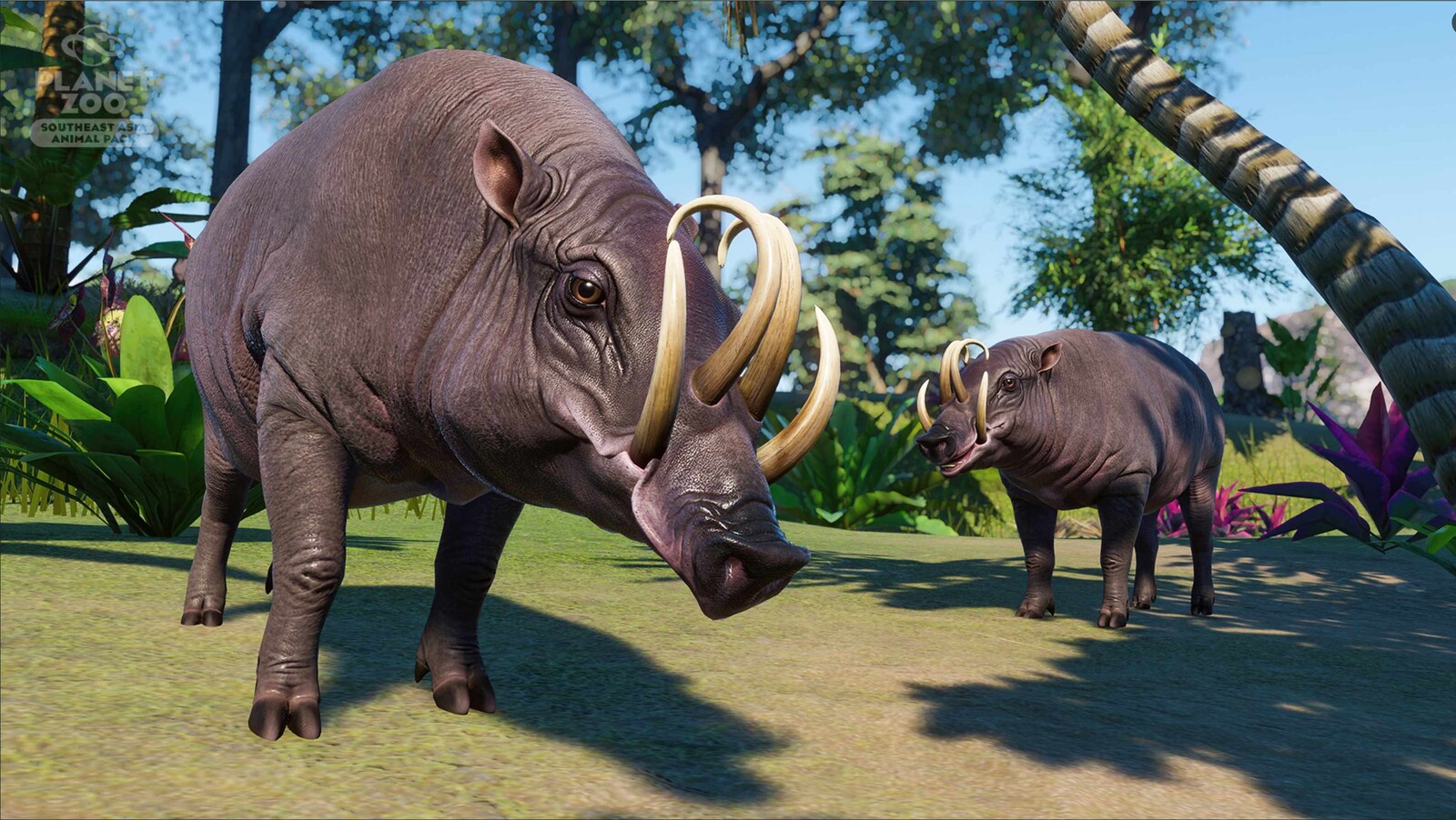 Planet Zoo Southeast Asia Pack - Babirusa