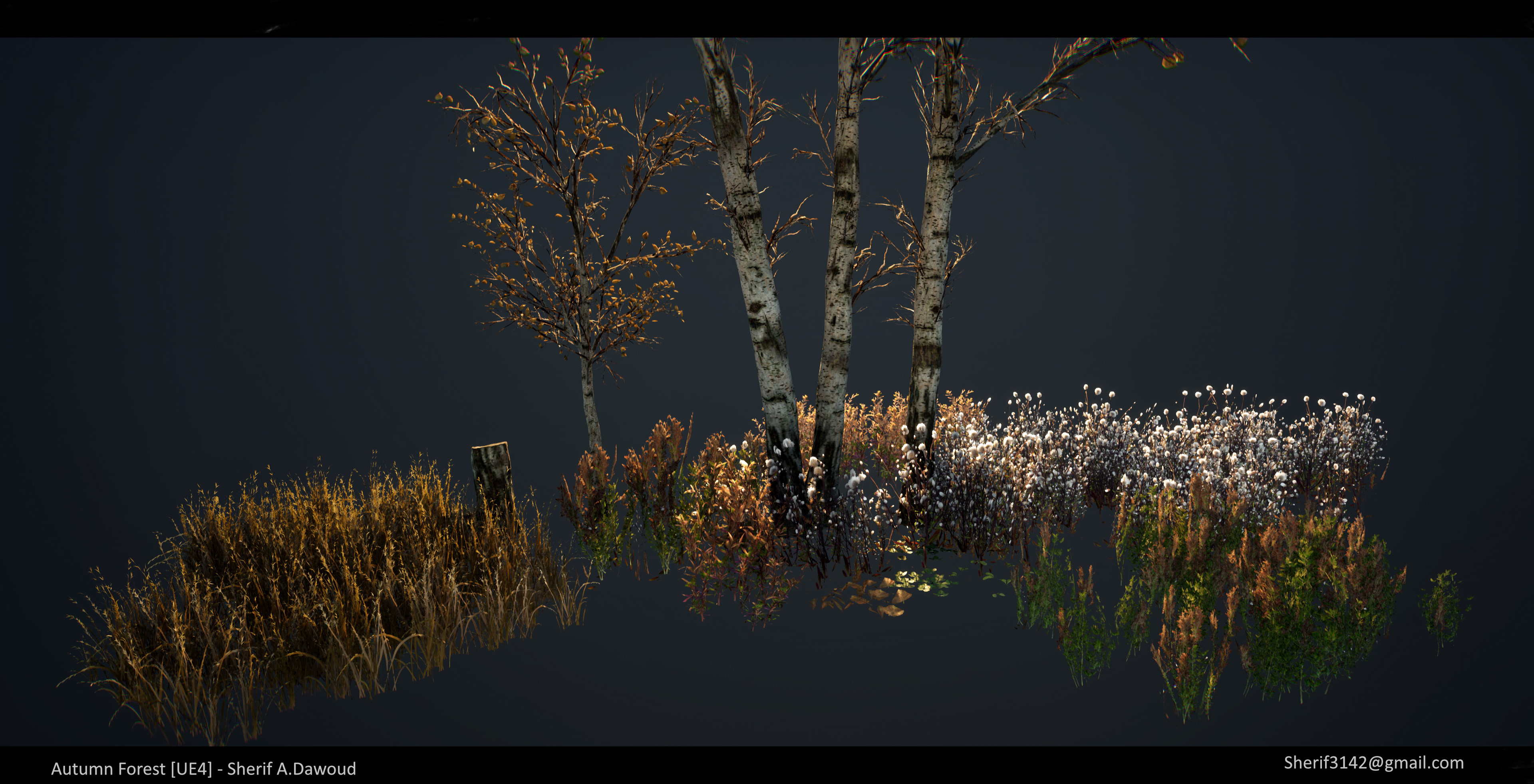 In-engine Assets