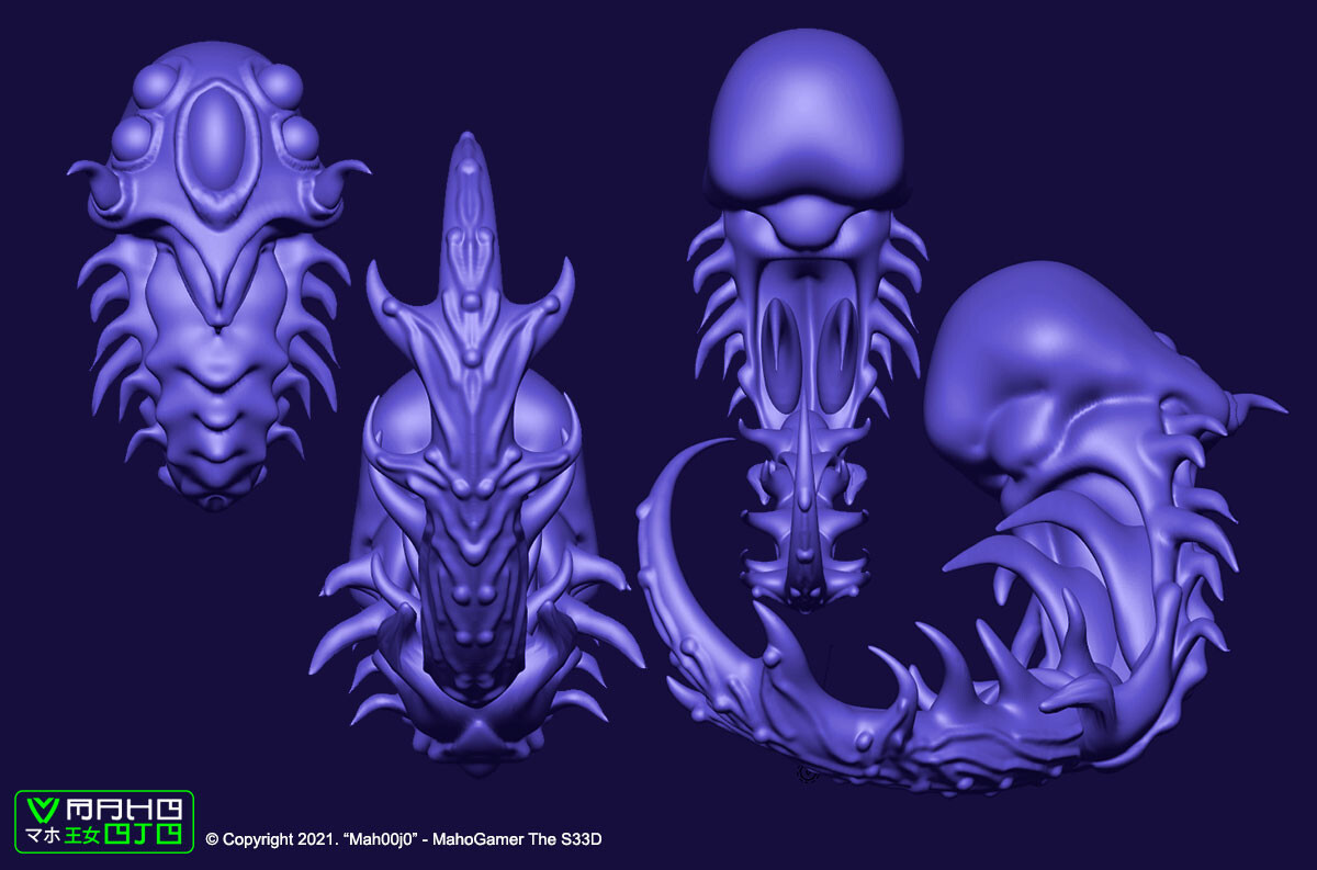 Aquatic Worm