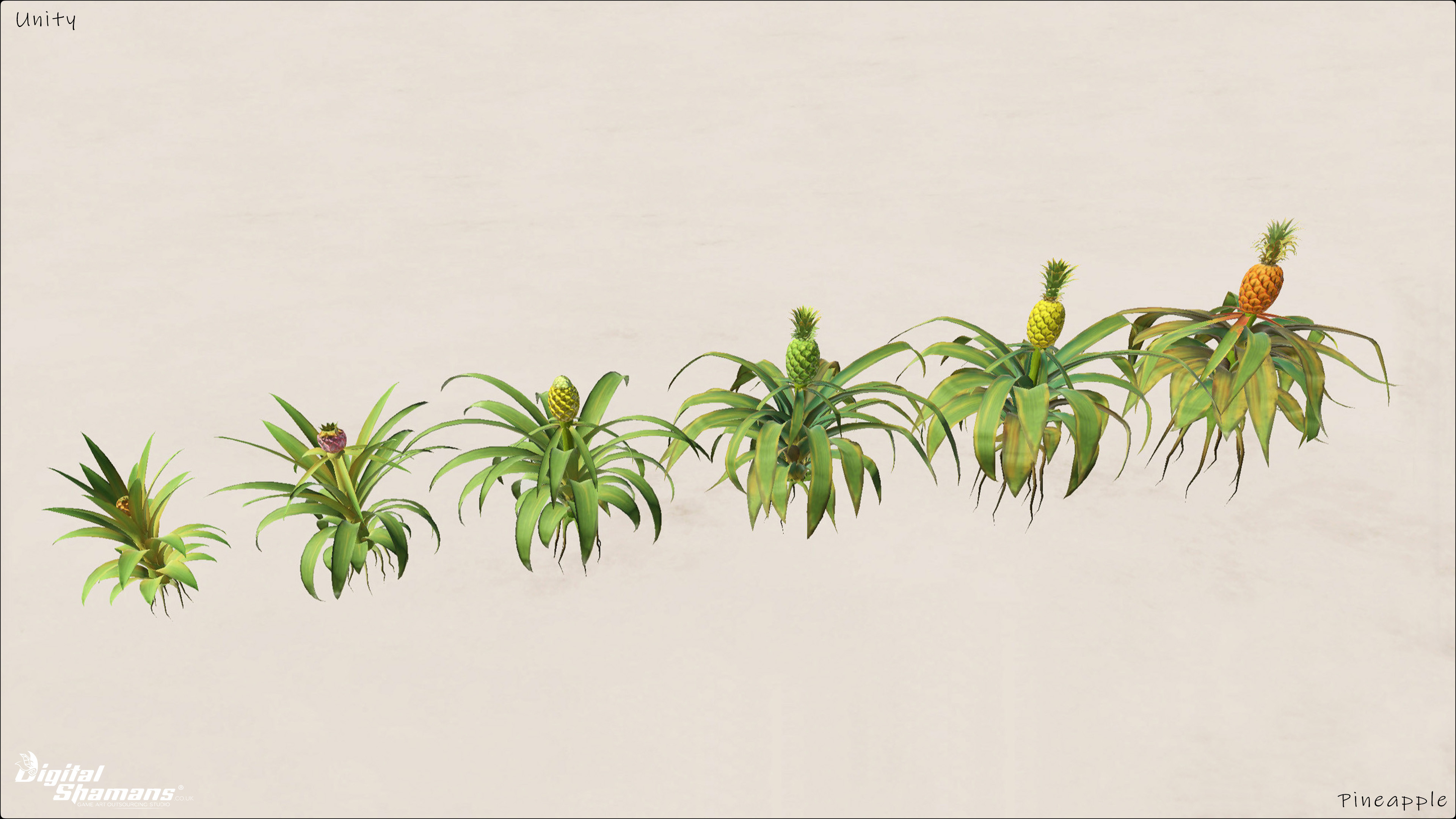 Survisland - Pineapple - Speed Tree Unity