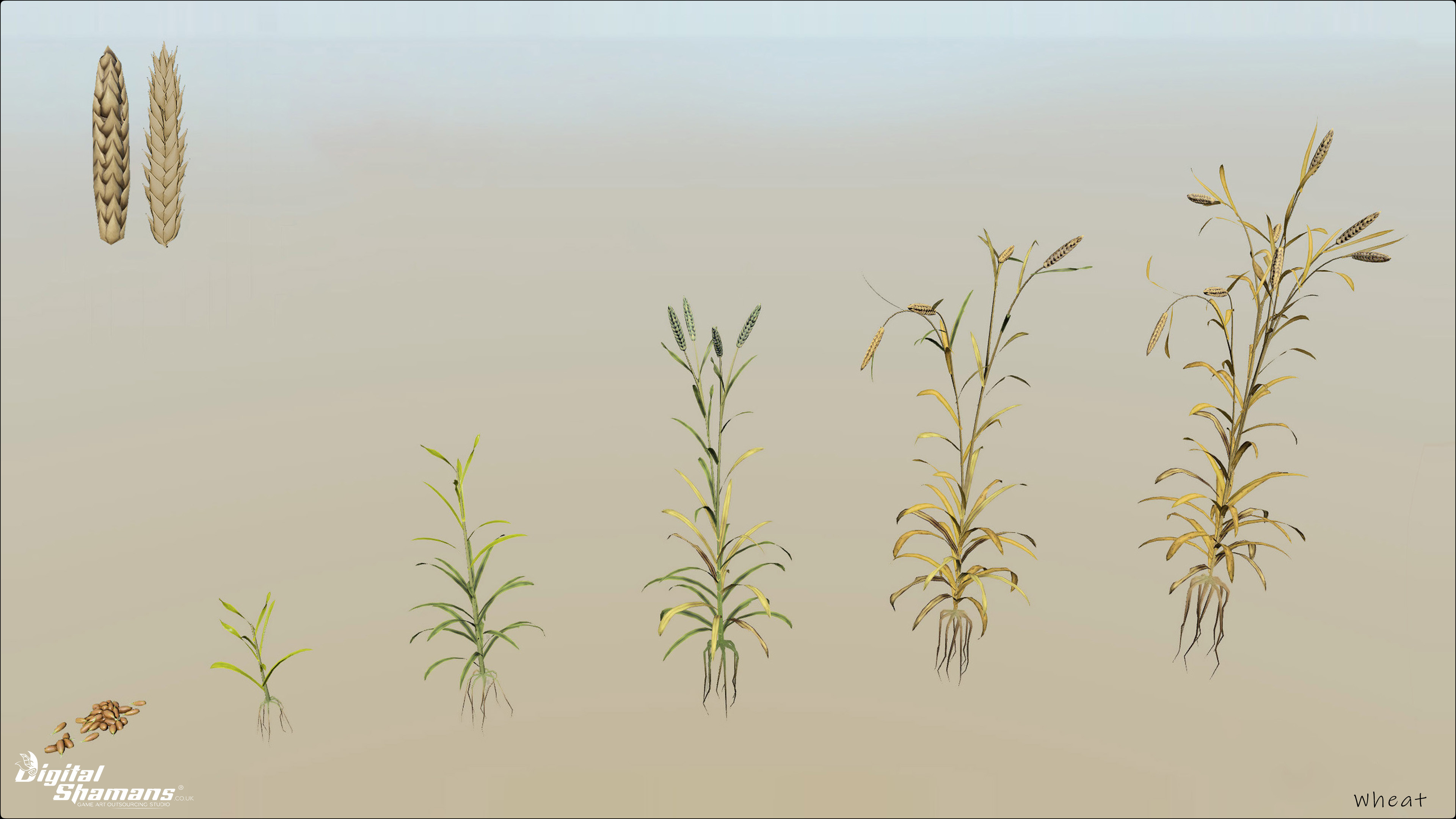 Survisland - Wheat - Speed Tree - Unity