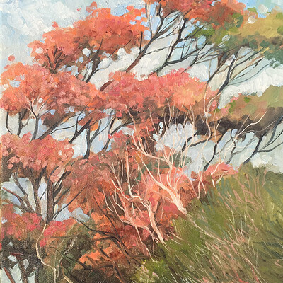 San Clemente Eucalyptus