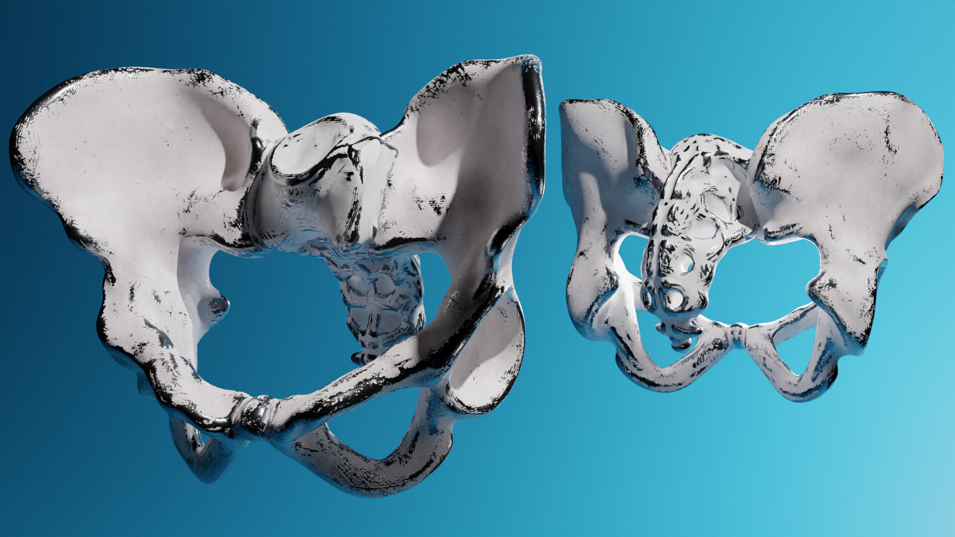 ArtStation - Pelvis