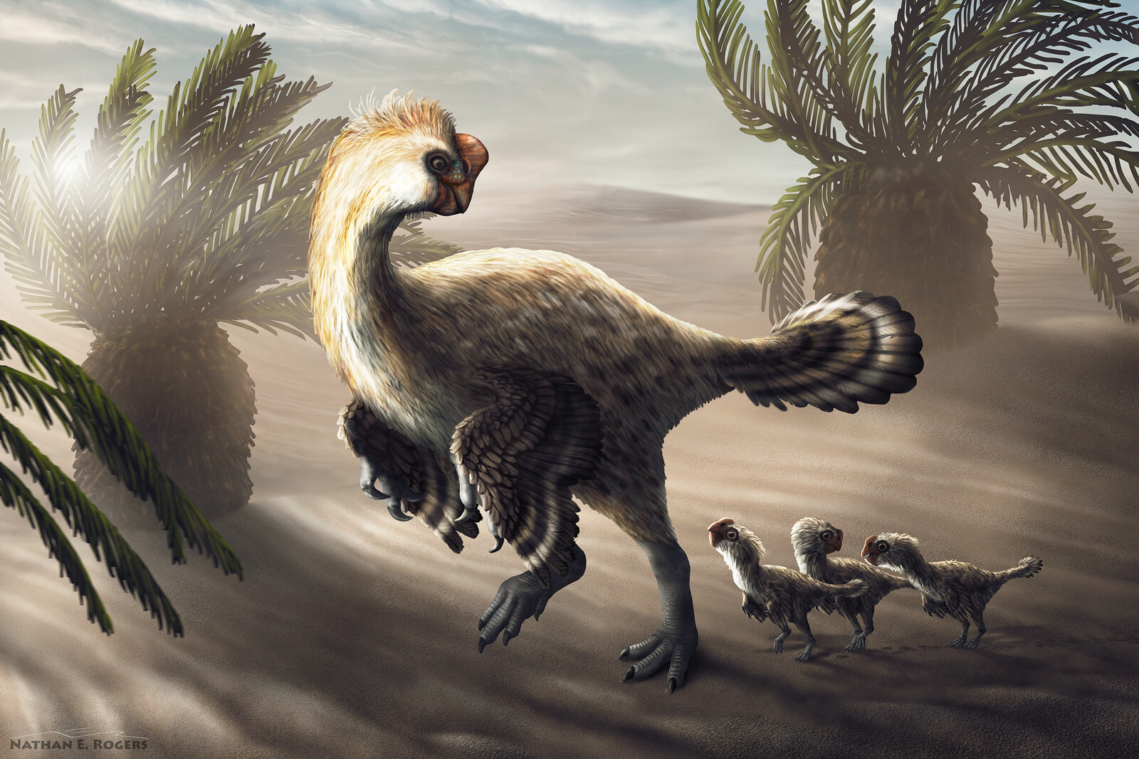 Nathan Rogers - Oviraptorid Adult and Chicks