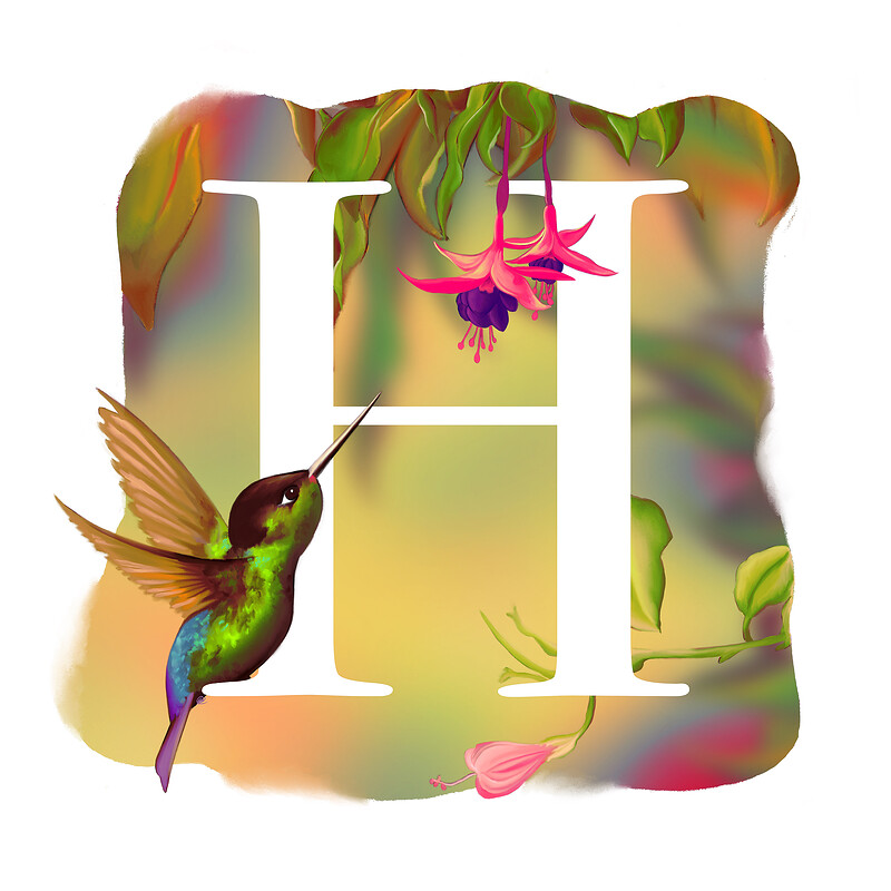 H for Hummingbird