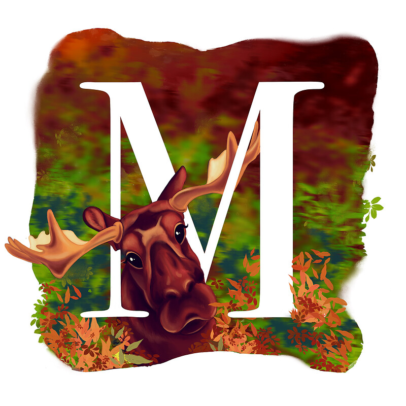 M for Moose