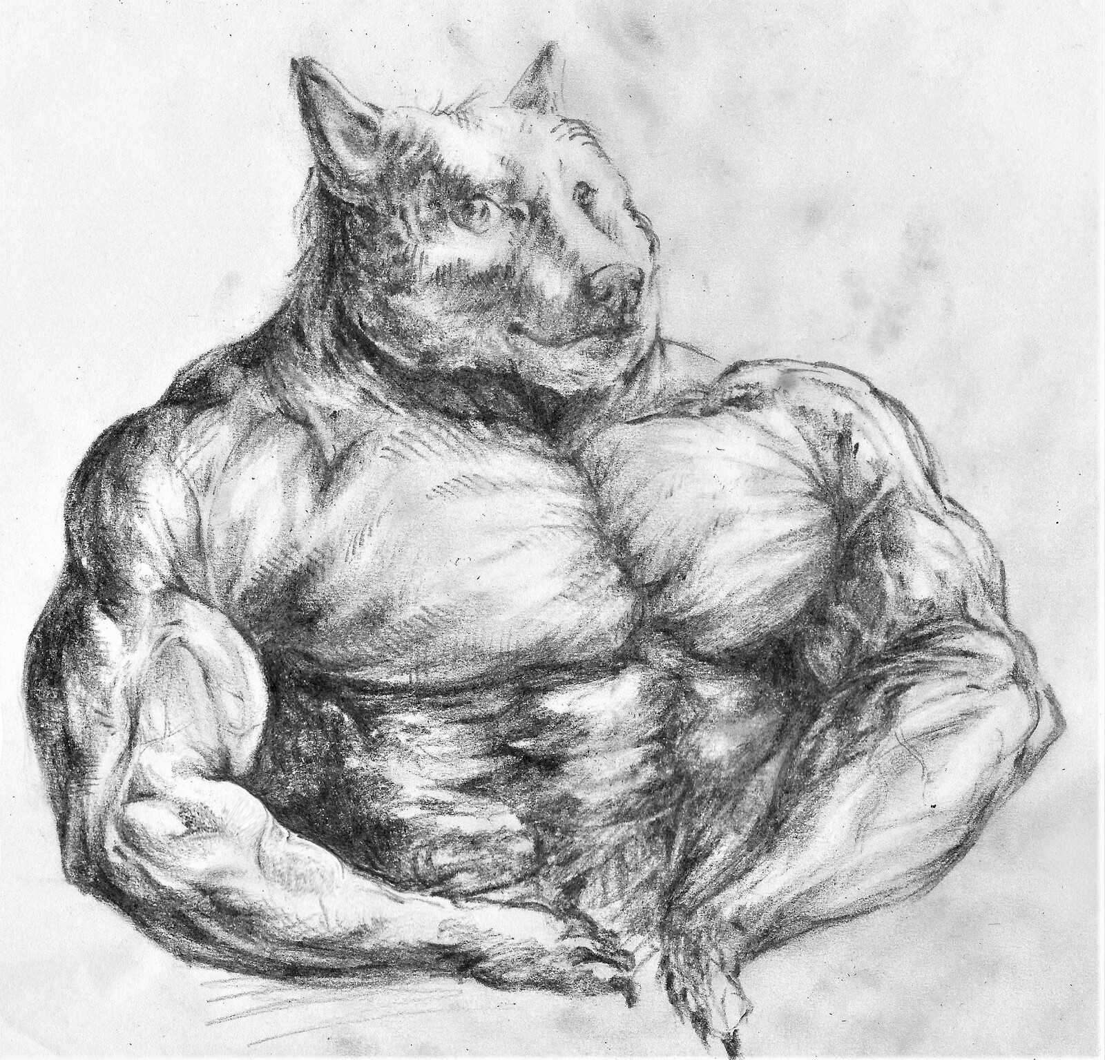 When you are too buff to be a meme