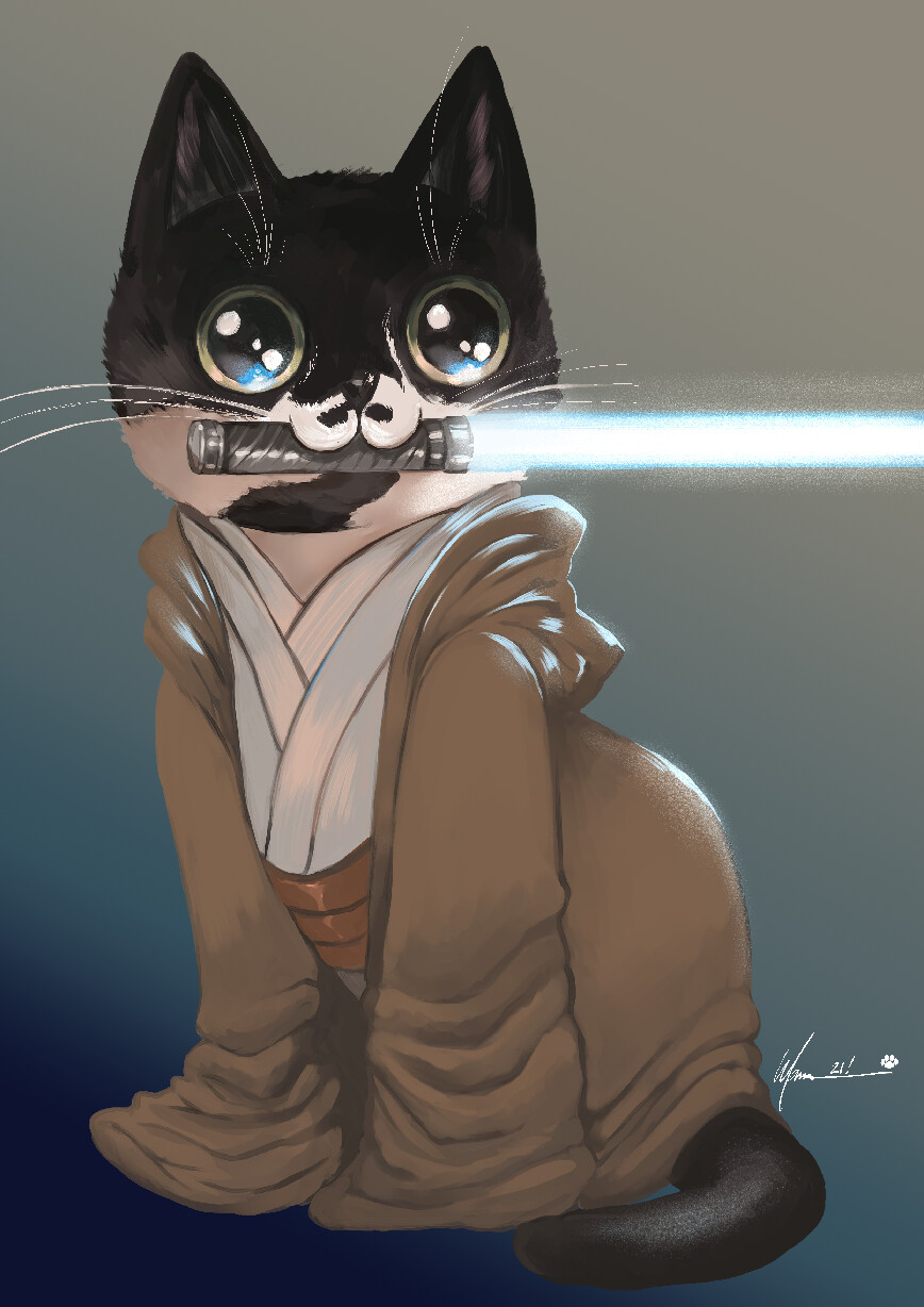Obi Cat!