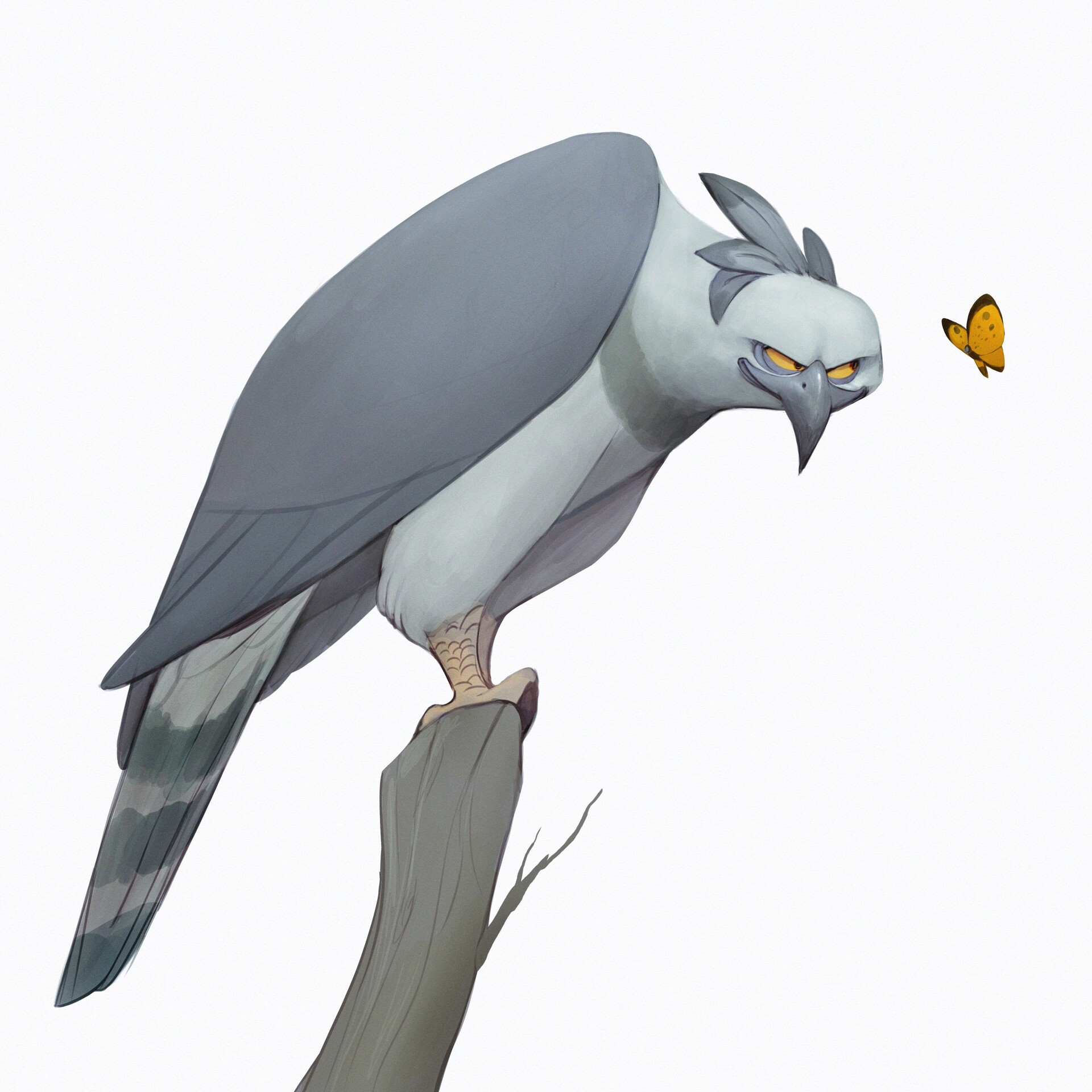 ArtStation - Harpy Eagle!