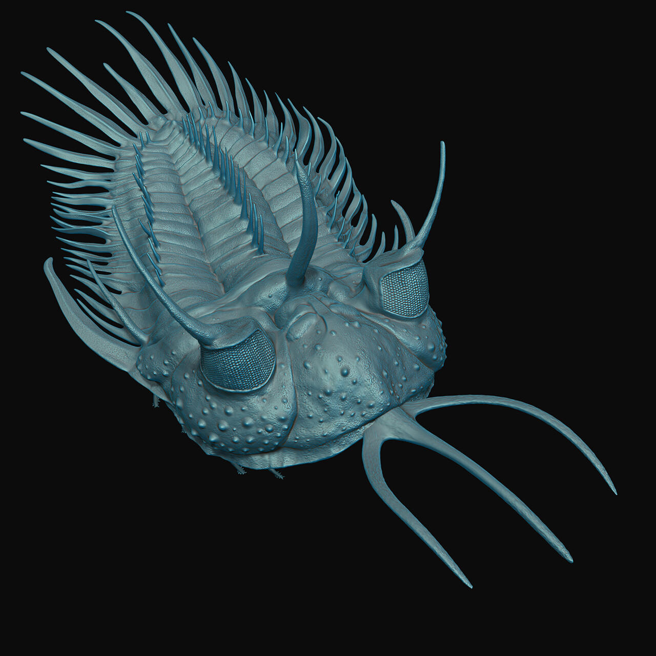 ZBrsuh render of the trilobite model