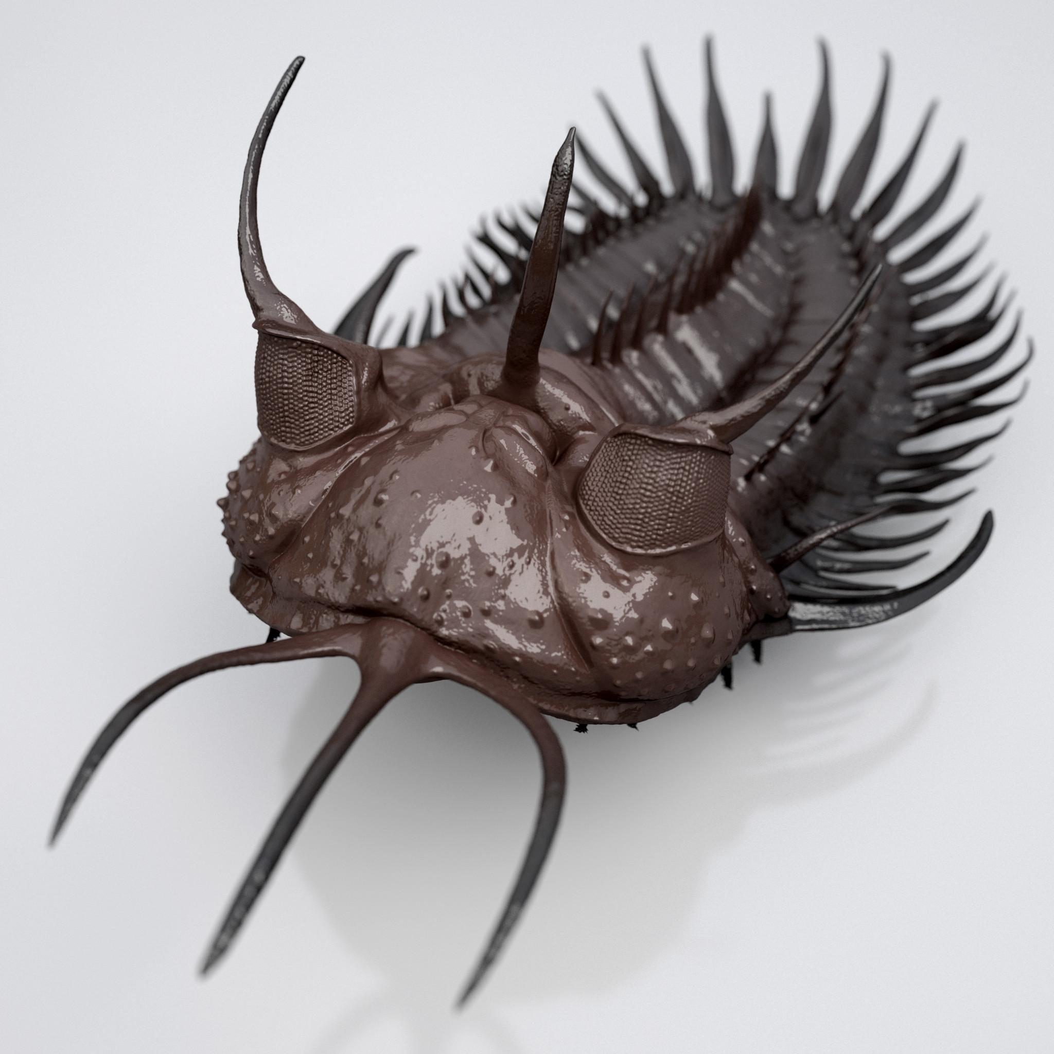 Keyshot render of the trilobite model