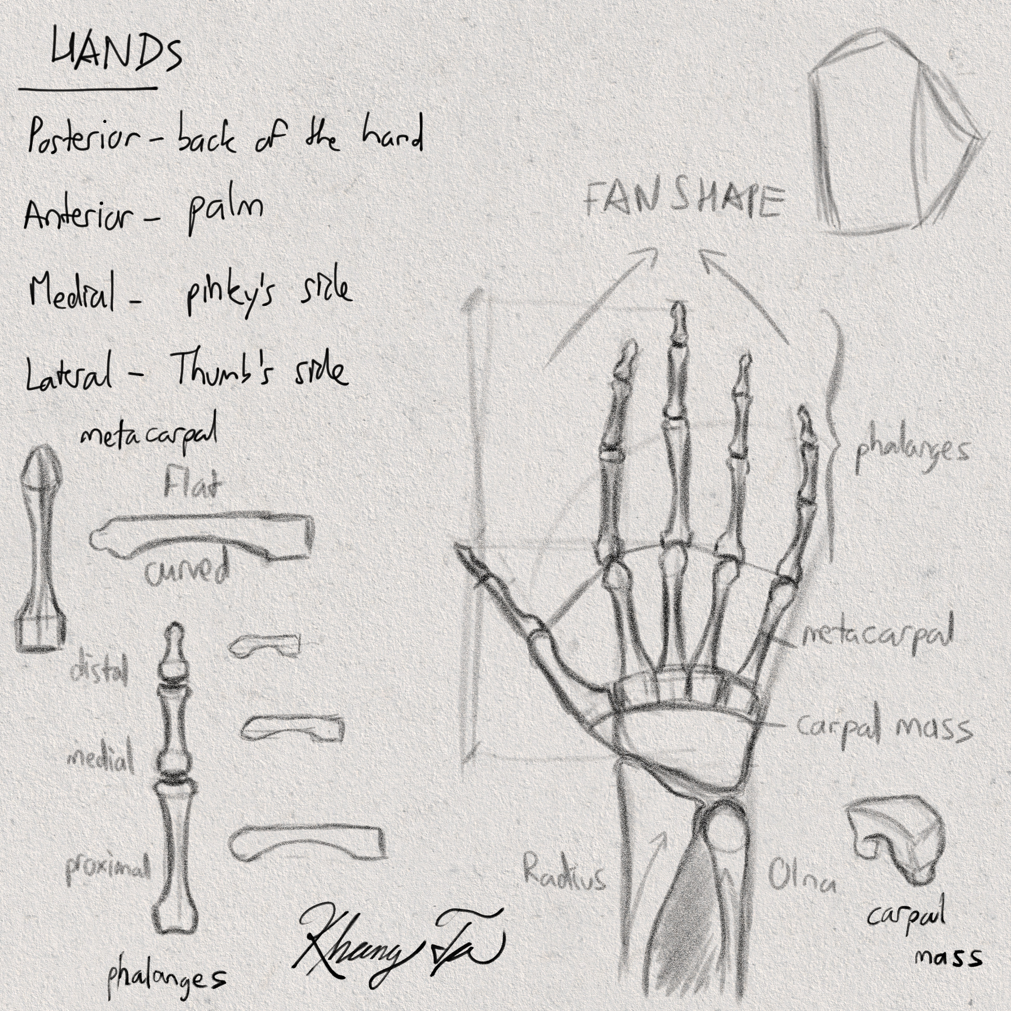 Drawing Hands with Kamille Corry