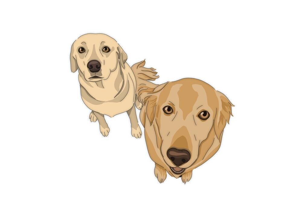Good Bois