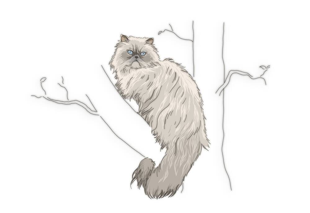 Fluffy girl 