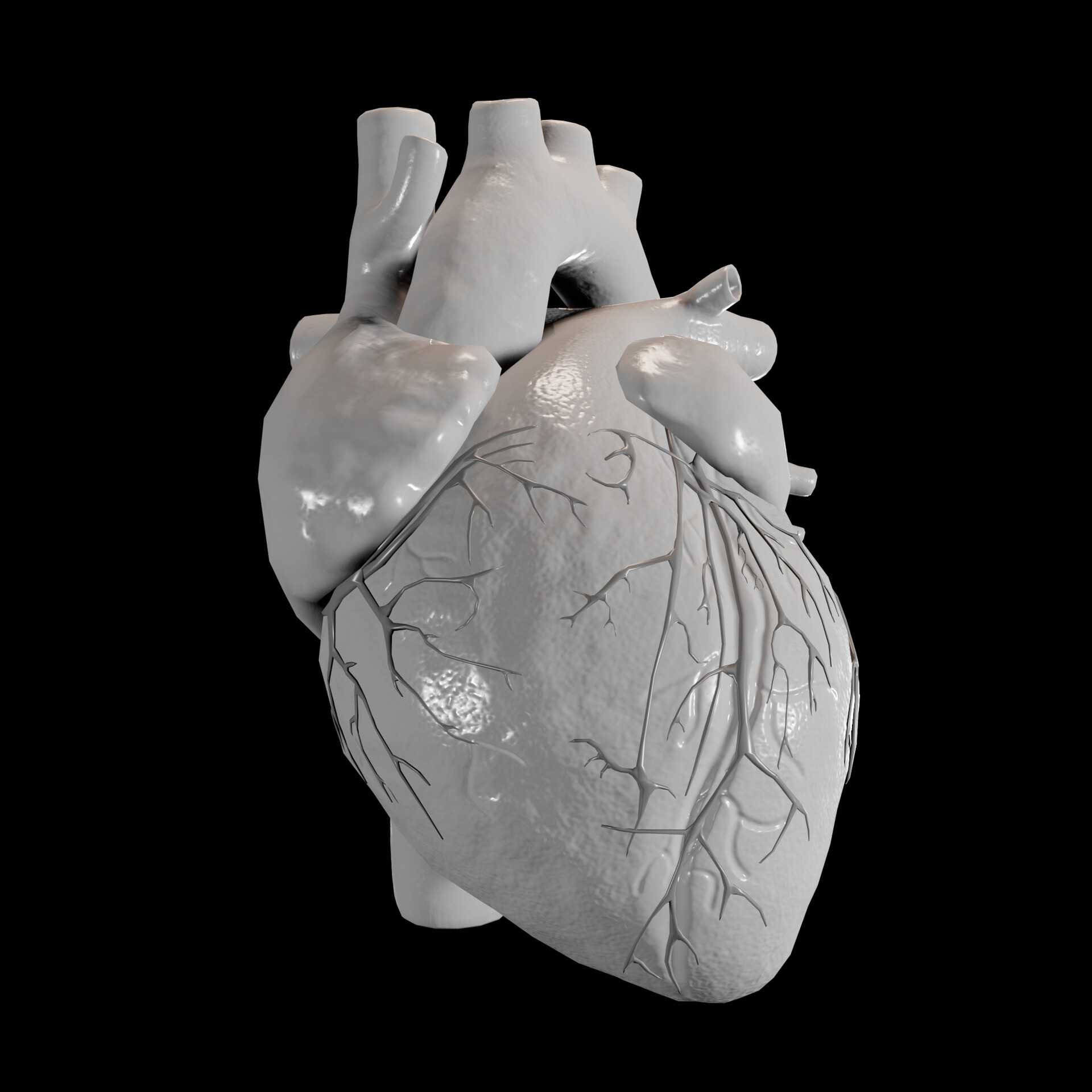 Human Heart Cutaway Anatomy 3d Model