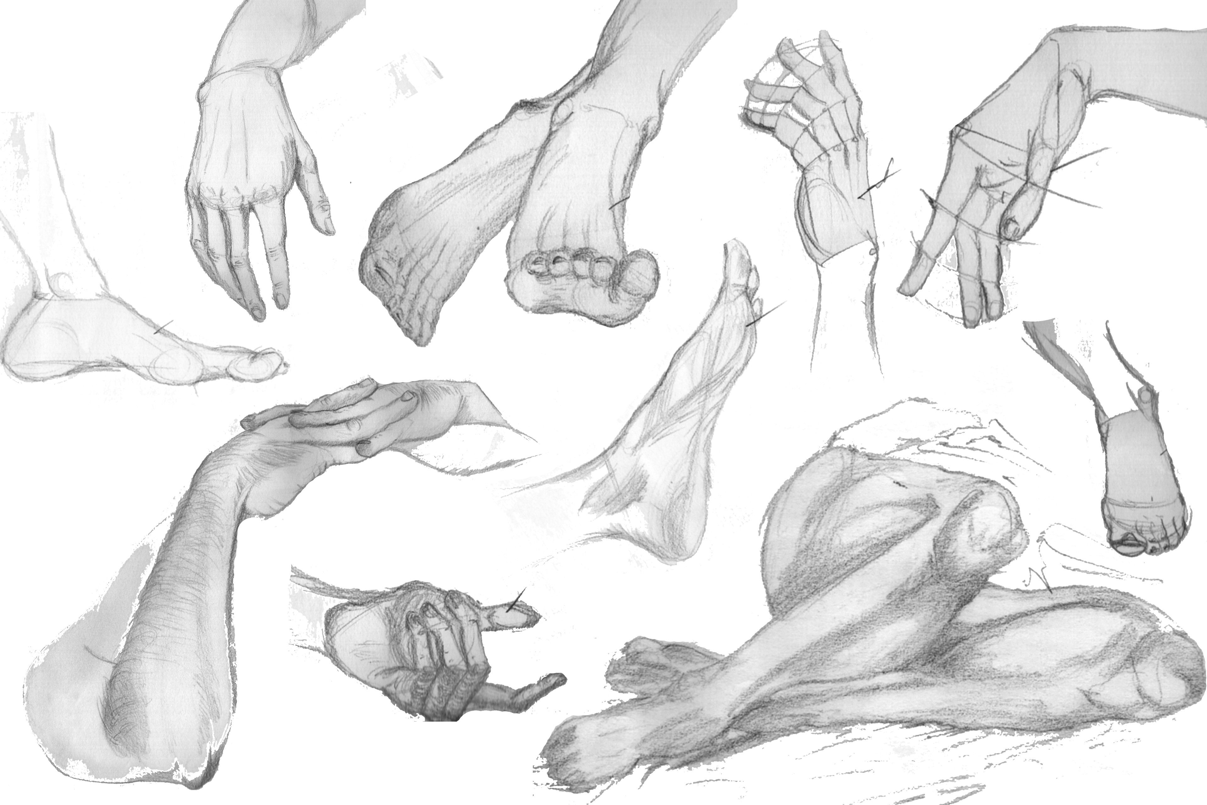 Hands and feet